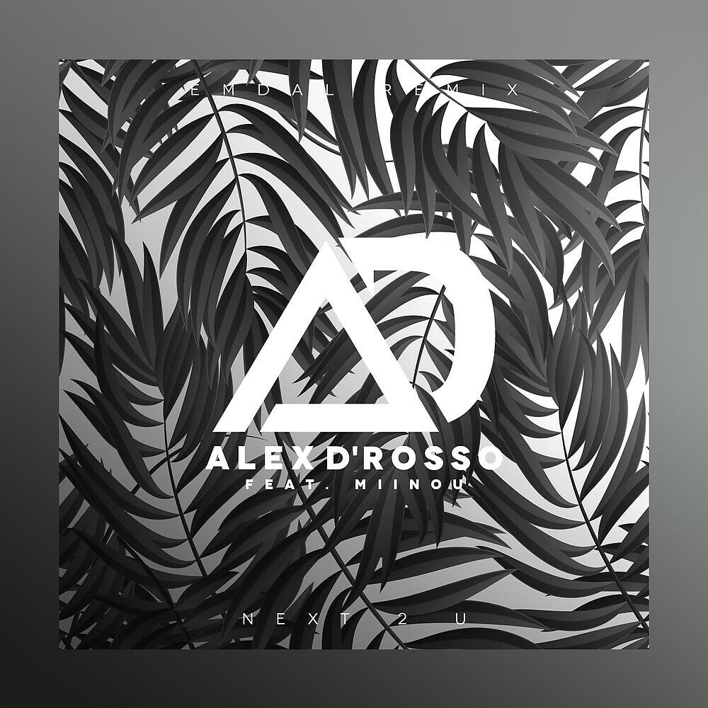 Alex D'Rosso - Next 2 U (EMDAL Remix)