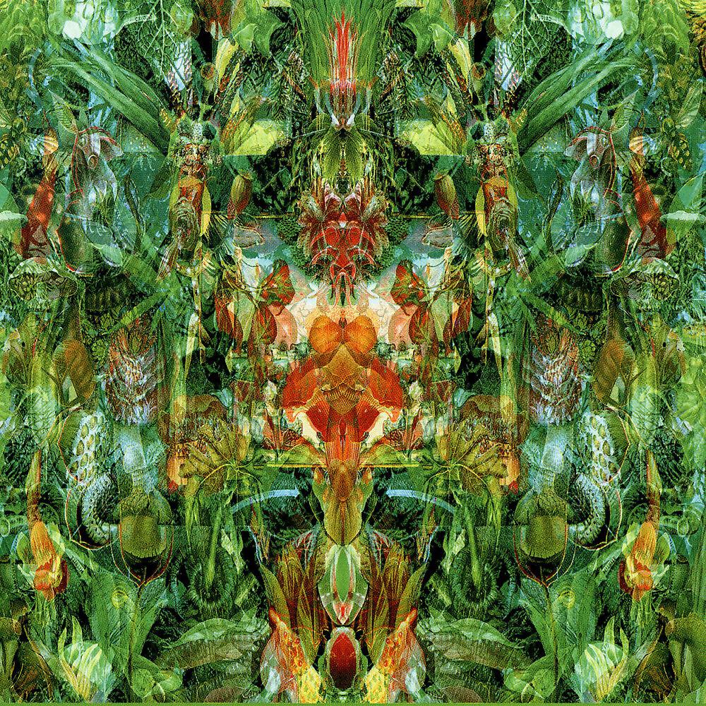 Постер альбома Emerald Aether: Shape Shifting/Reconstructions Of Irish Music