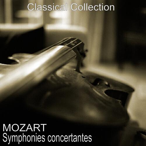 Talich Chamber Orchestra - Duo à cordes in G Major, K. 423: No. 2, Adagio