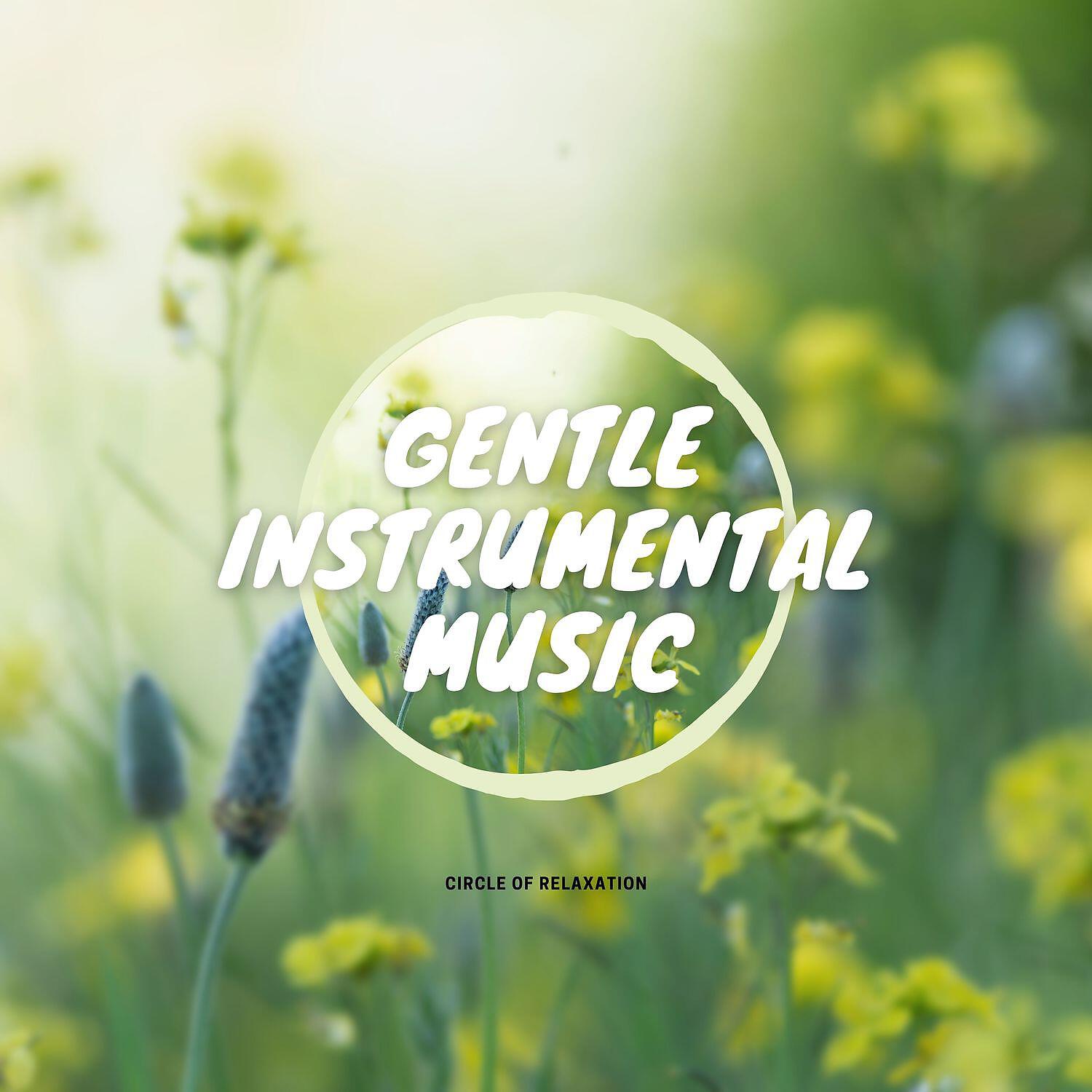 Circle of Relaxation - Asian Music Experience - Rain Sound