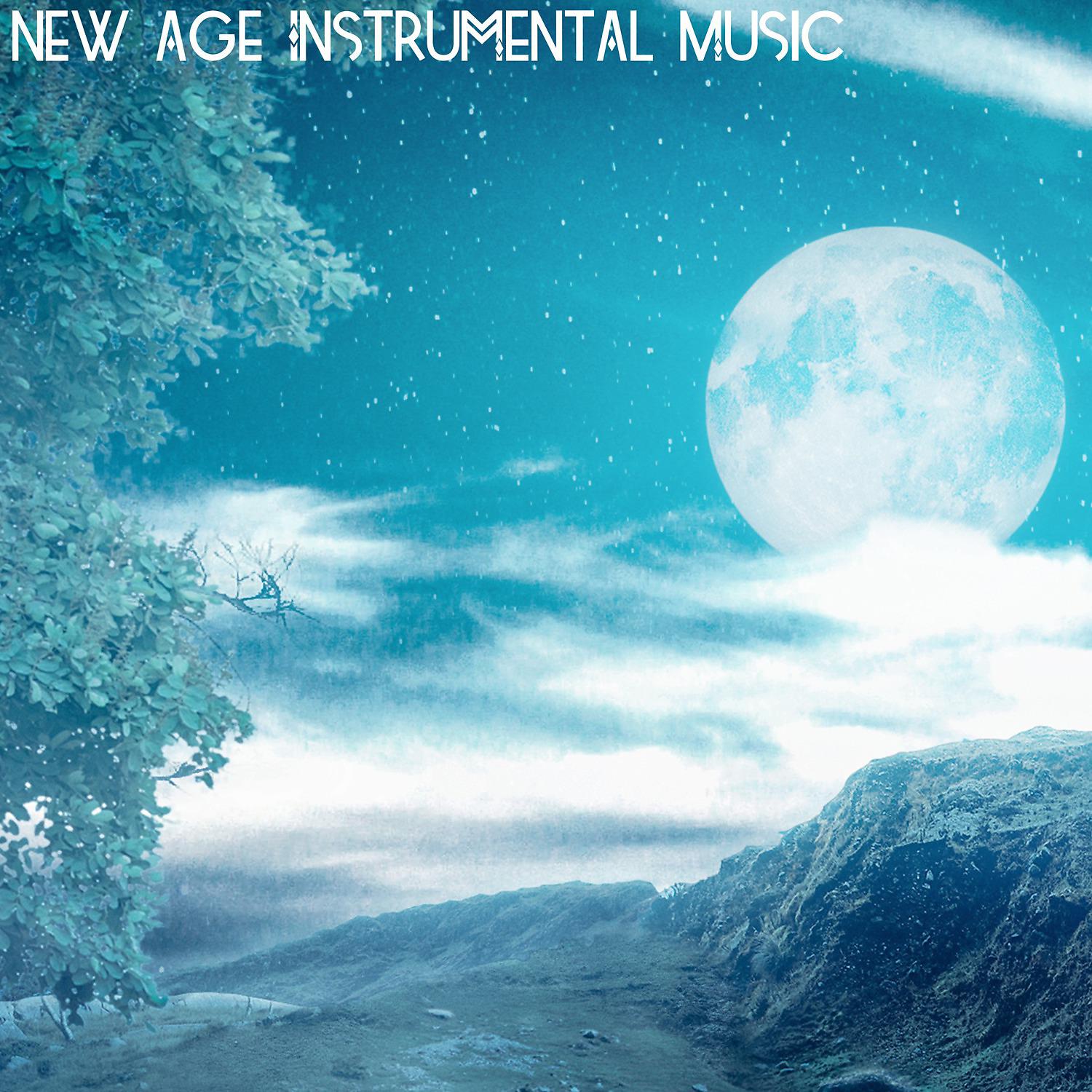 Постер альбома New Age Instrumental Music