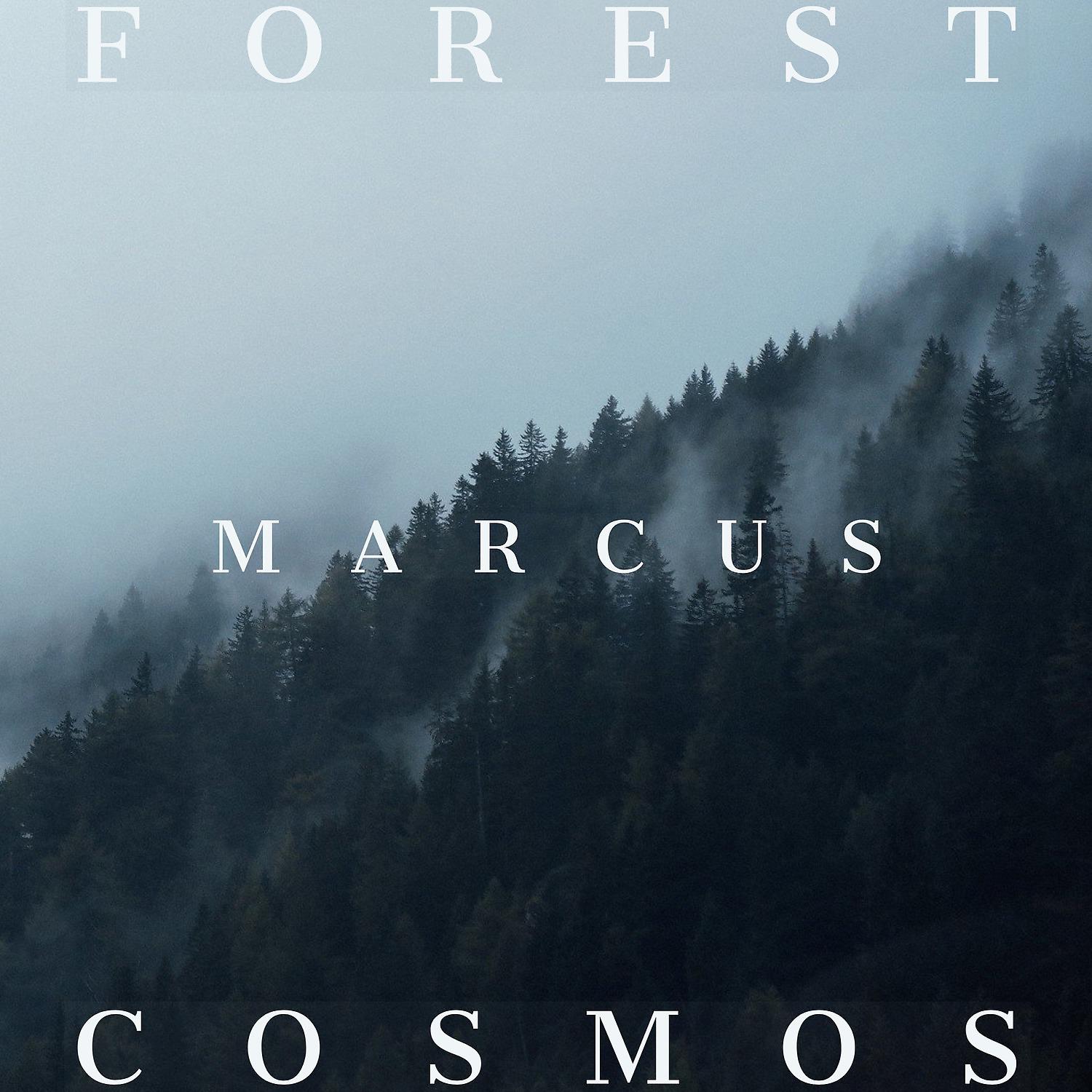 Постер альбома Forest Cosmos