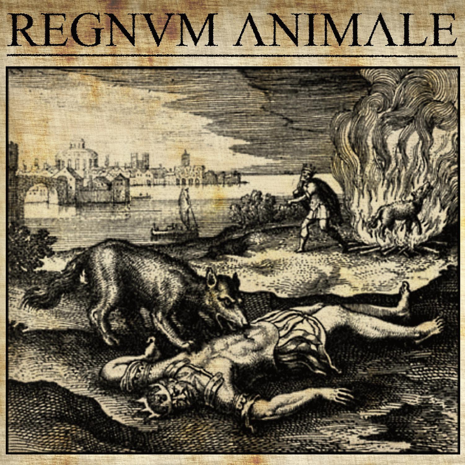 Постер альбома Regnvm Animale