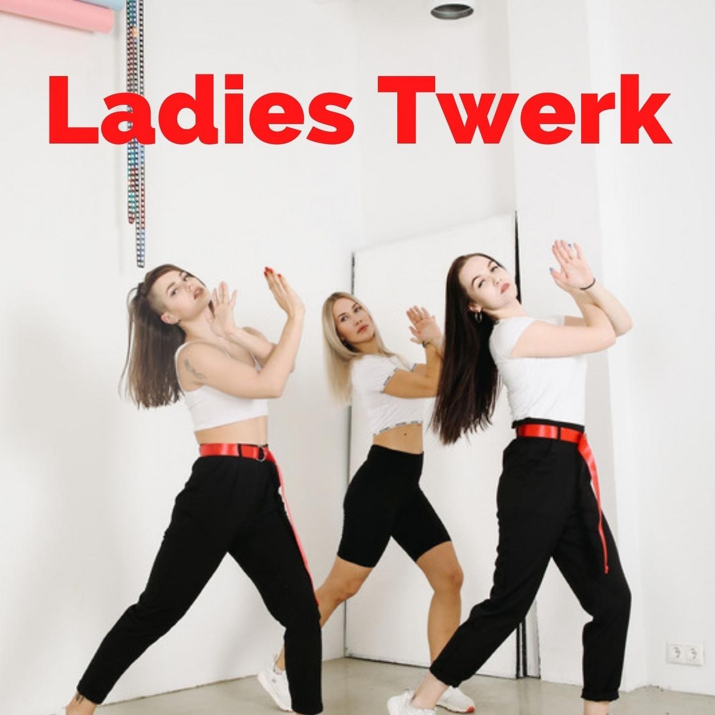 Постер альбома Ladies Twerk