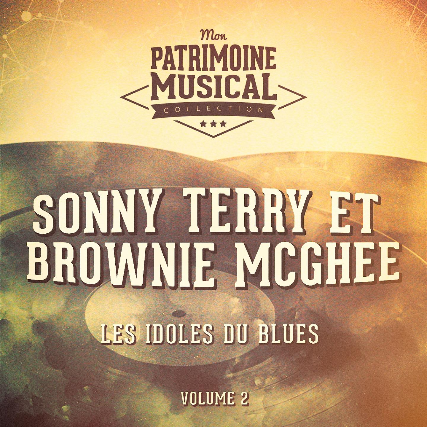 Постер альбома Les idoles du blues : Sonny Terry et Brownie McGhee, Vol. 2