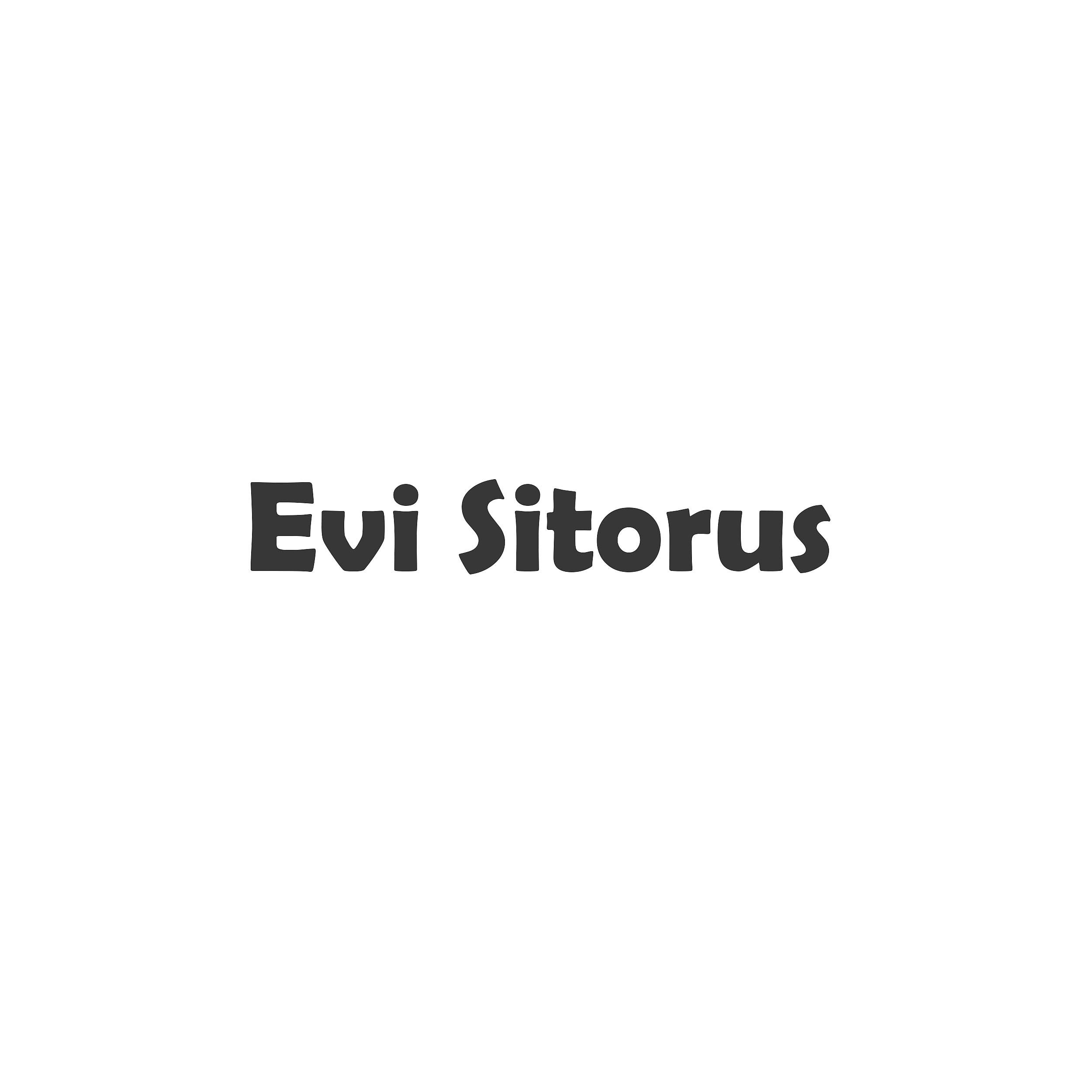 Постер альбома Evi Sitorus Album