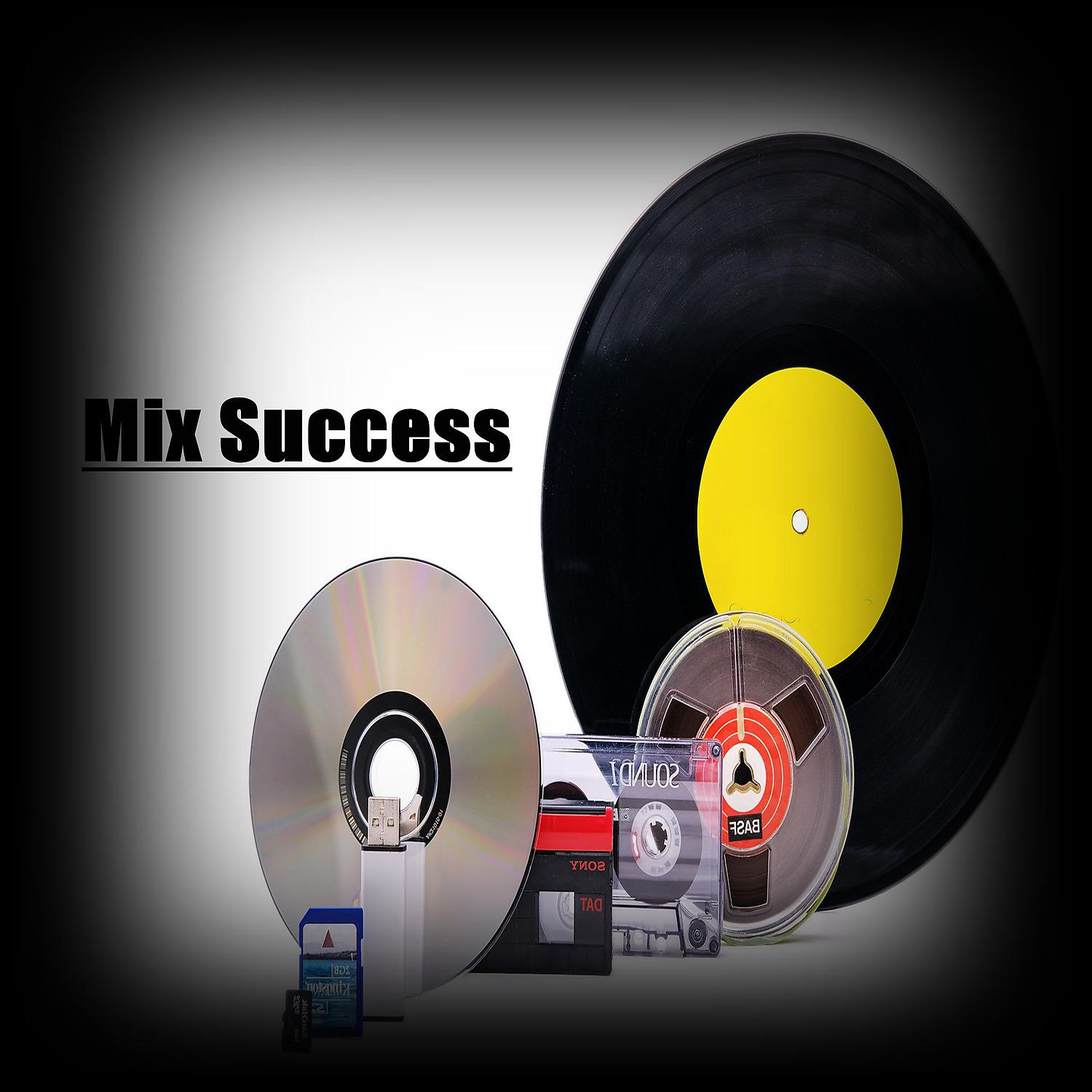 Постер альбома Mix Success