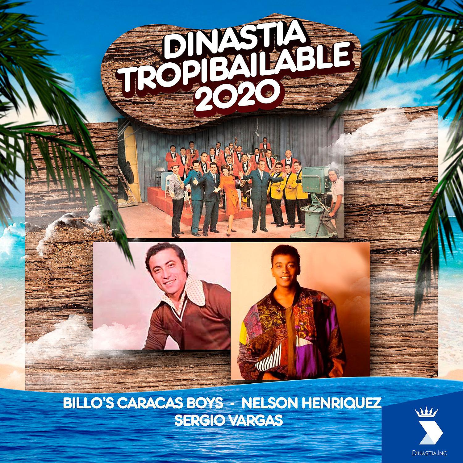 Постер альбома Dinastia Tropibailable 2020