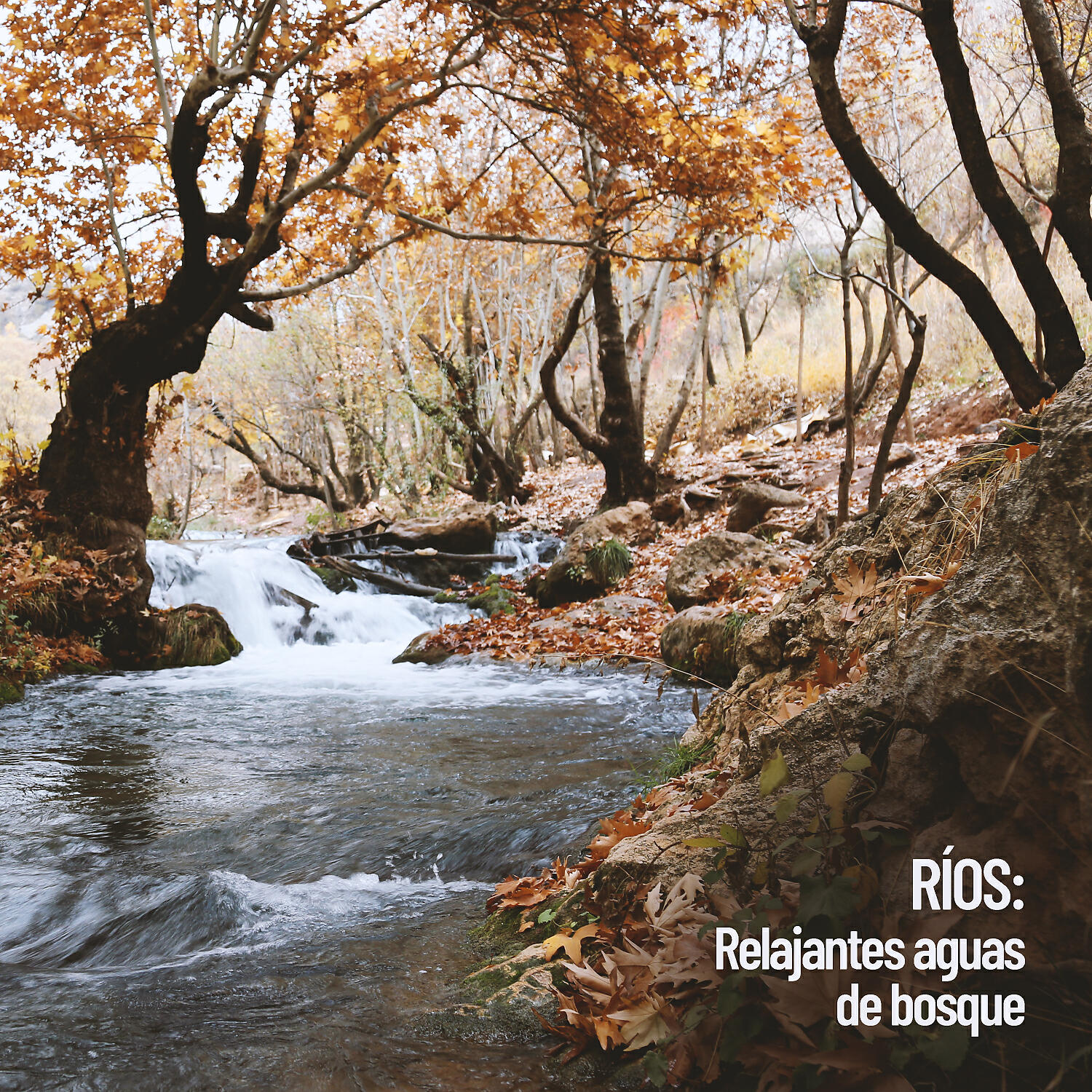 Water Science - Chapoteo del arroyo