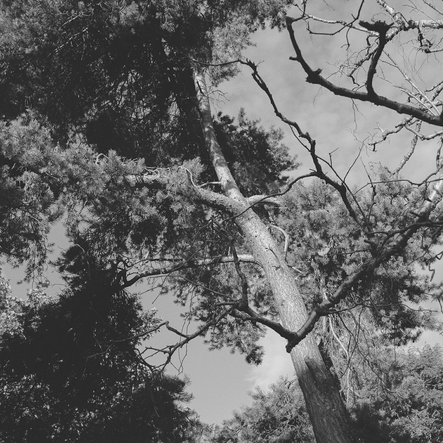 Calm Soft Jazz - Suave Ambience for Weekends