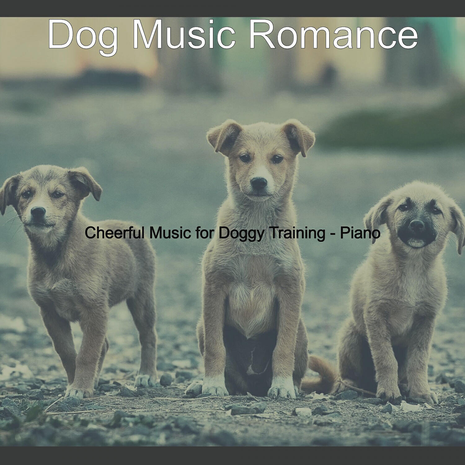 Dog Music Romance - Peaceful Solo Piano Jazz - Vibe for Resting Dogs