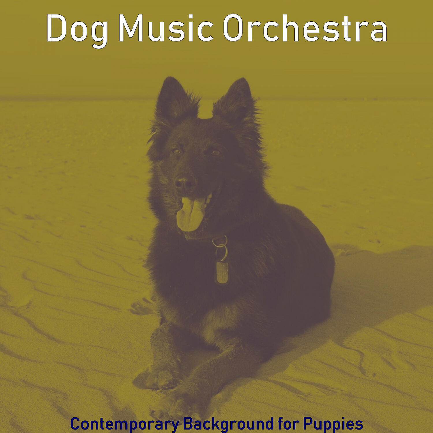 Dog Music Orchestra - Spacious Solo Piano Jazz - Vibe for Cute Dogs