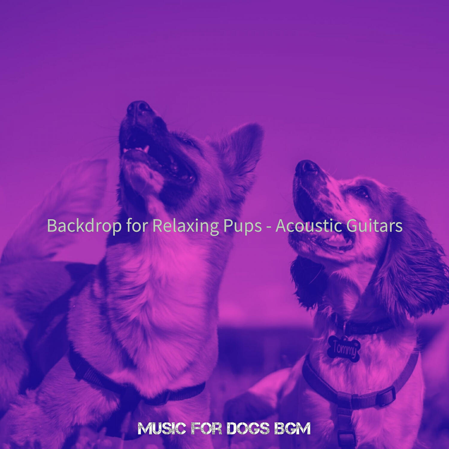 Music for Dogs Bgm - Easy Listening Acoustic Guitar Soundtrack for Doggy Training