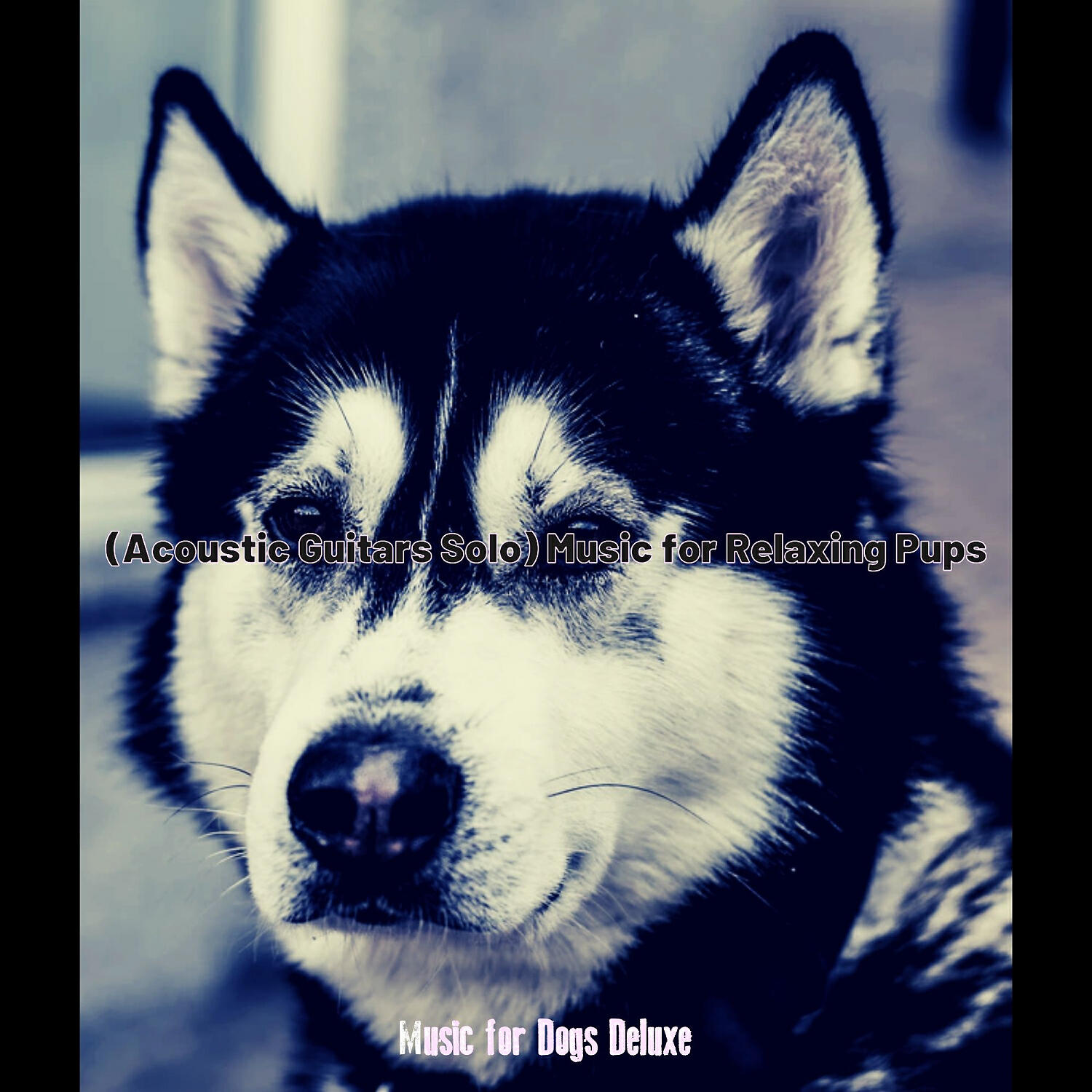 Music for Dogs Deluxe - Simplistic Ambience for Sleepy Puppies