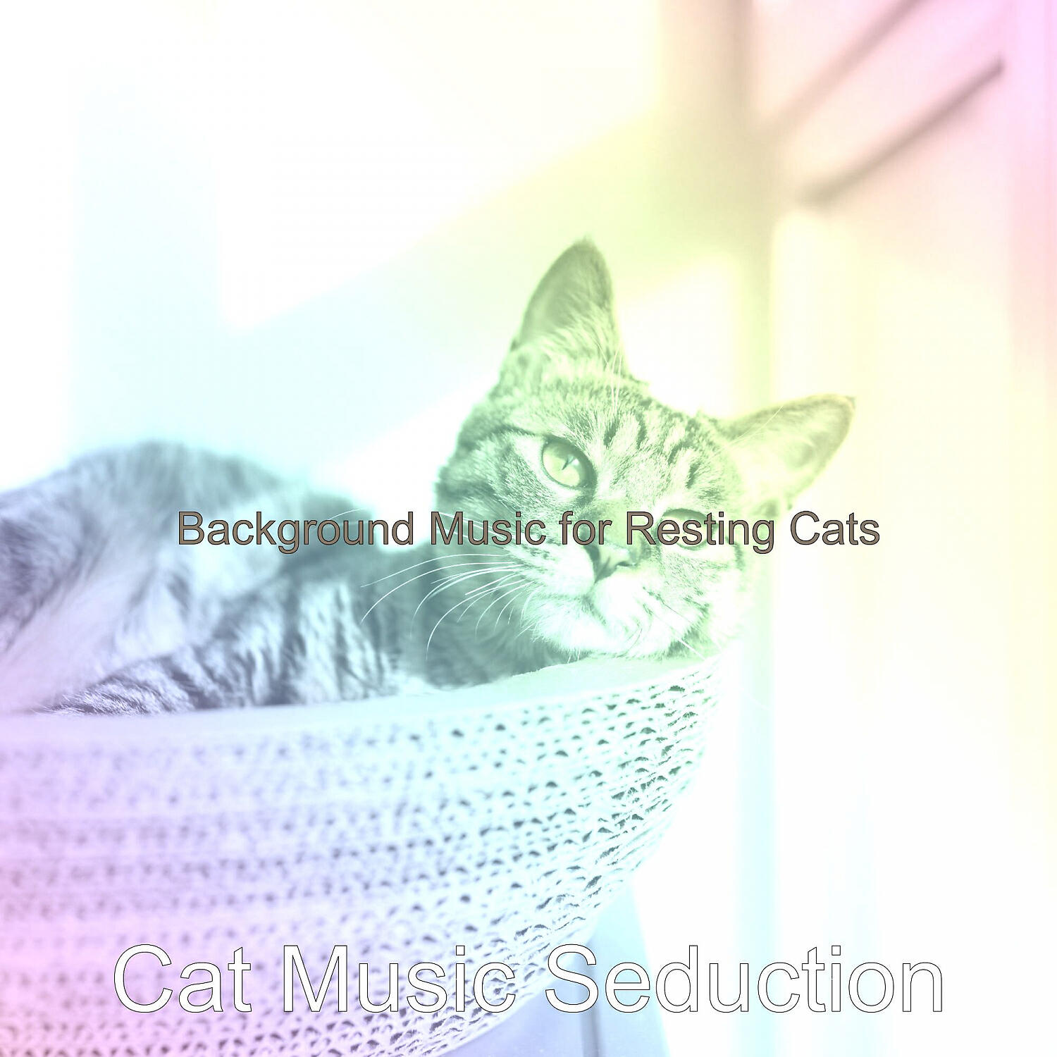 Cat Music Seduction - Sultry Moods for Relaxing Your Cat
