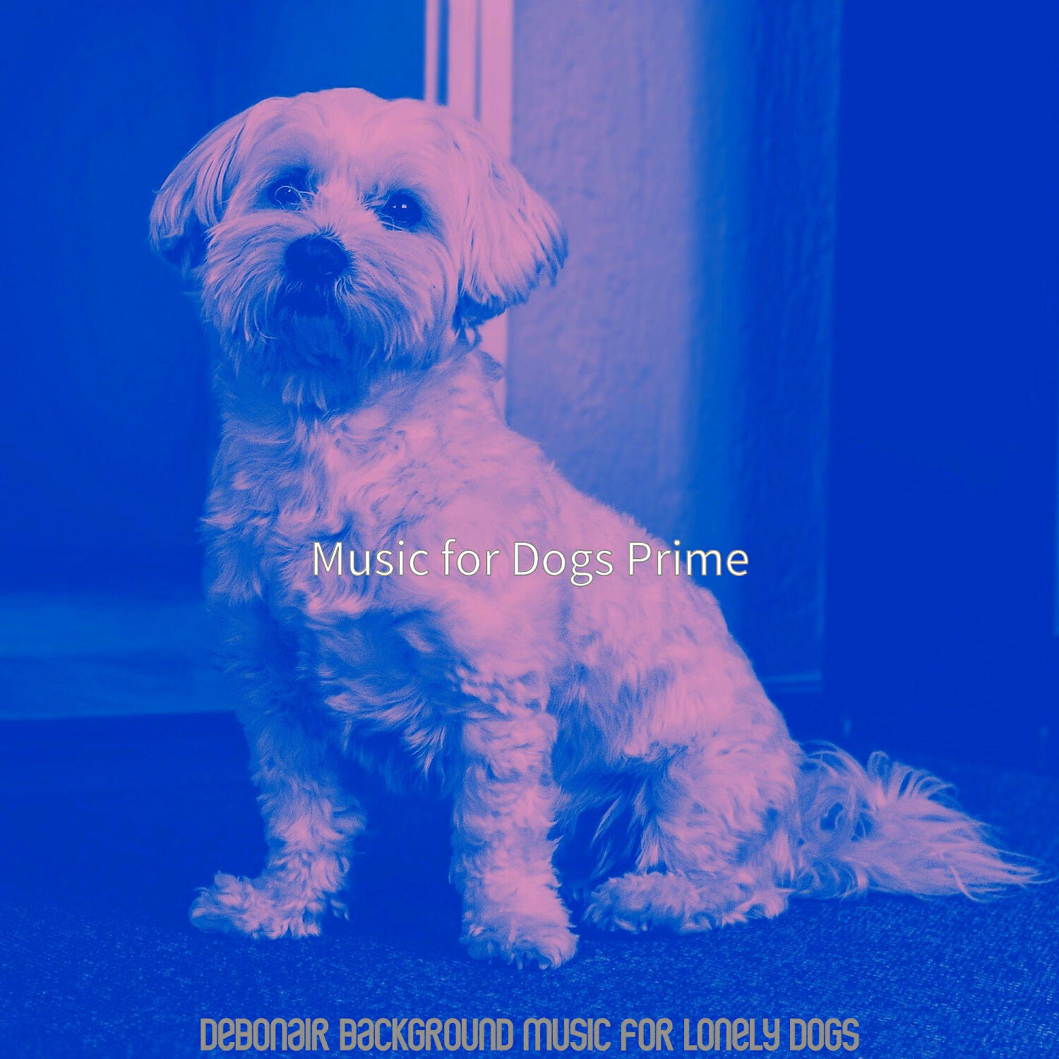 Music for Dogs Prime - Background for Training Dogs