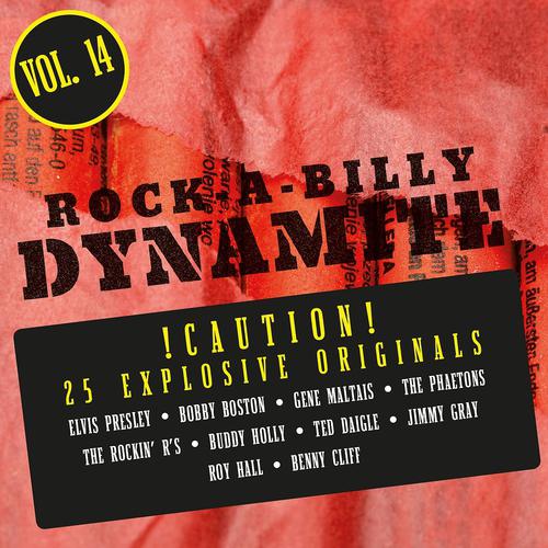Постер альбома Rock-A-Billy Dynamite, Vol. 14