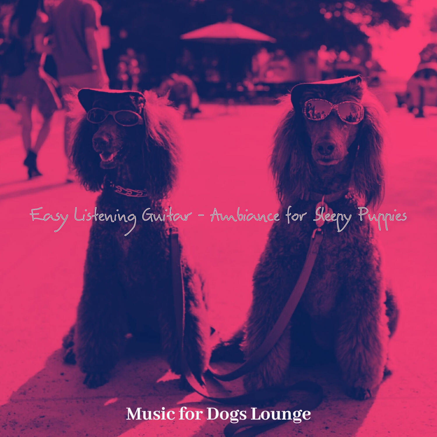 Music for Dogs Lounge - Deluxe Ambiance for Sleepy Puppies