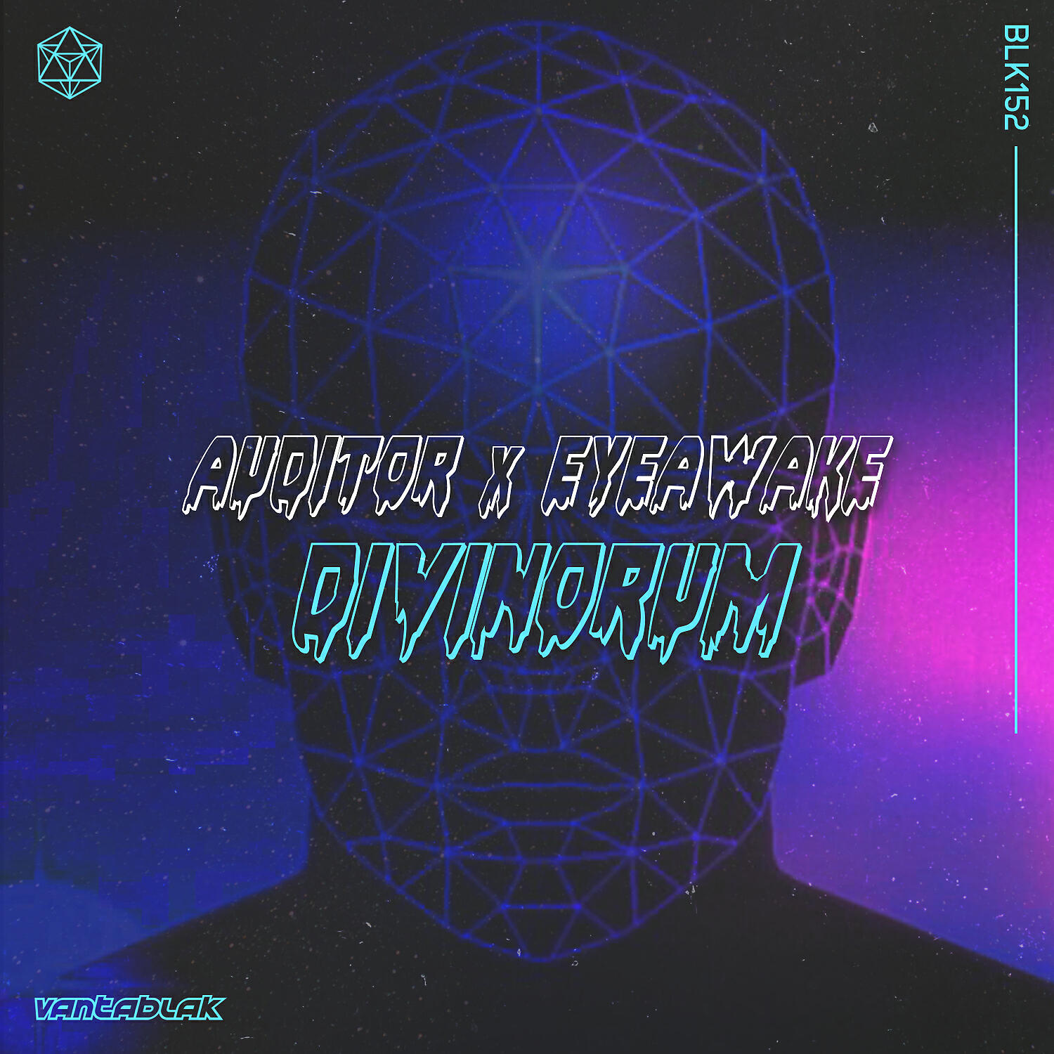 Auditor - Divinorum (Original Mix)