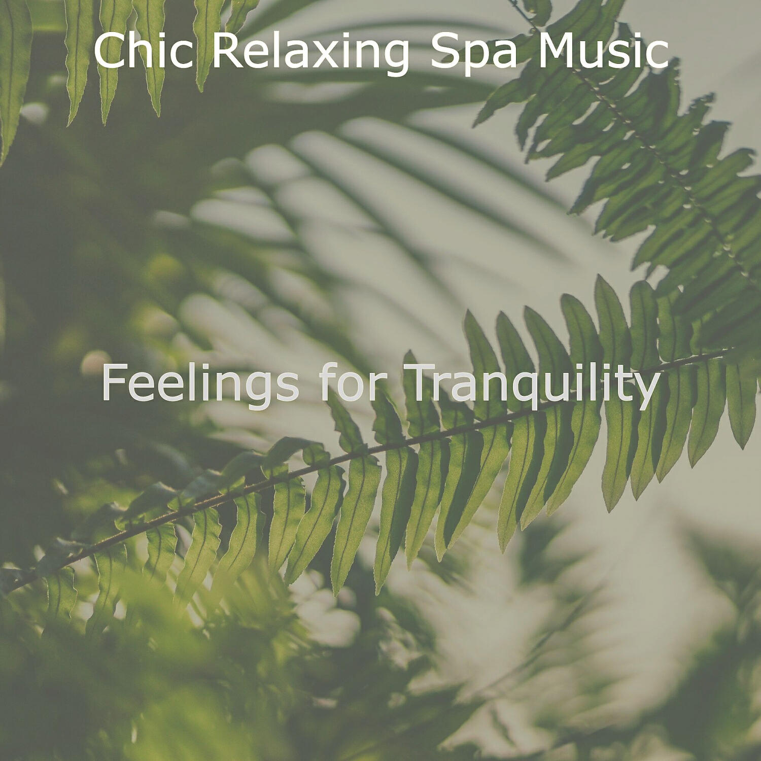 Chic Relaxing Spa Music - Sultry Ambience for Holistic Spa Treatments