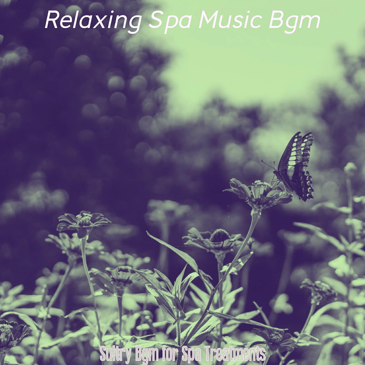 Relaxing Spa Music Bgm - Joyful 1 Hour Spa