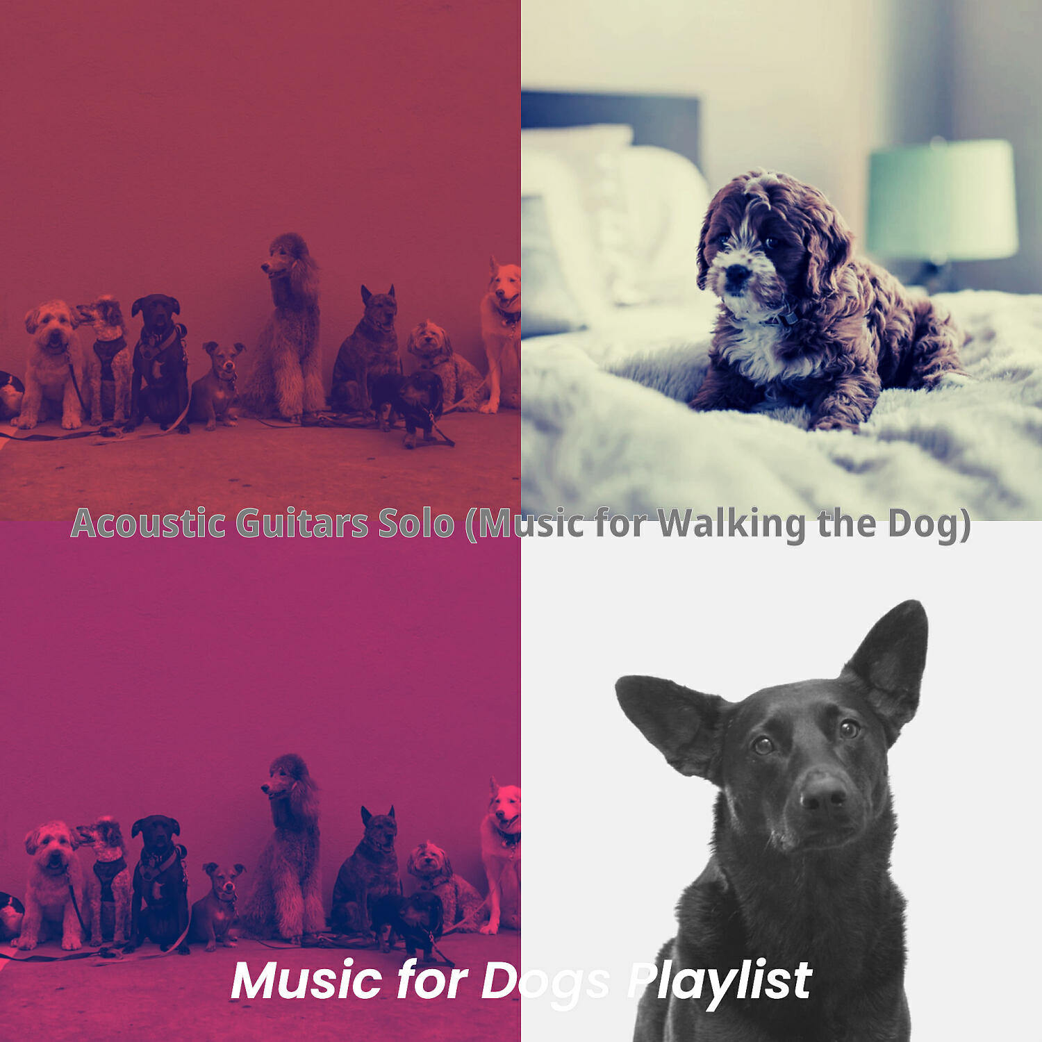 Music for Dogs Playlist - Deluxe Doggy Training