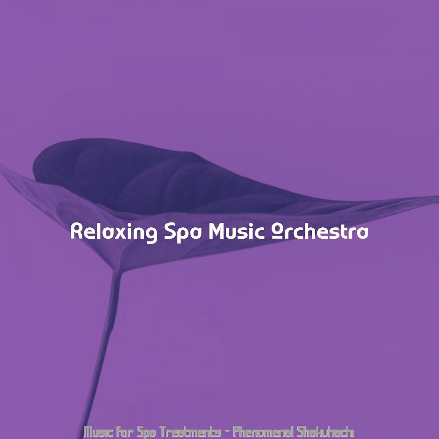 Relaxing Spa Music Orchestra - Vintage Moods for Vipassana
