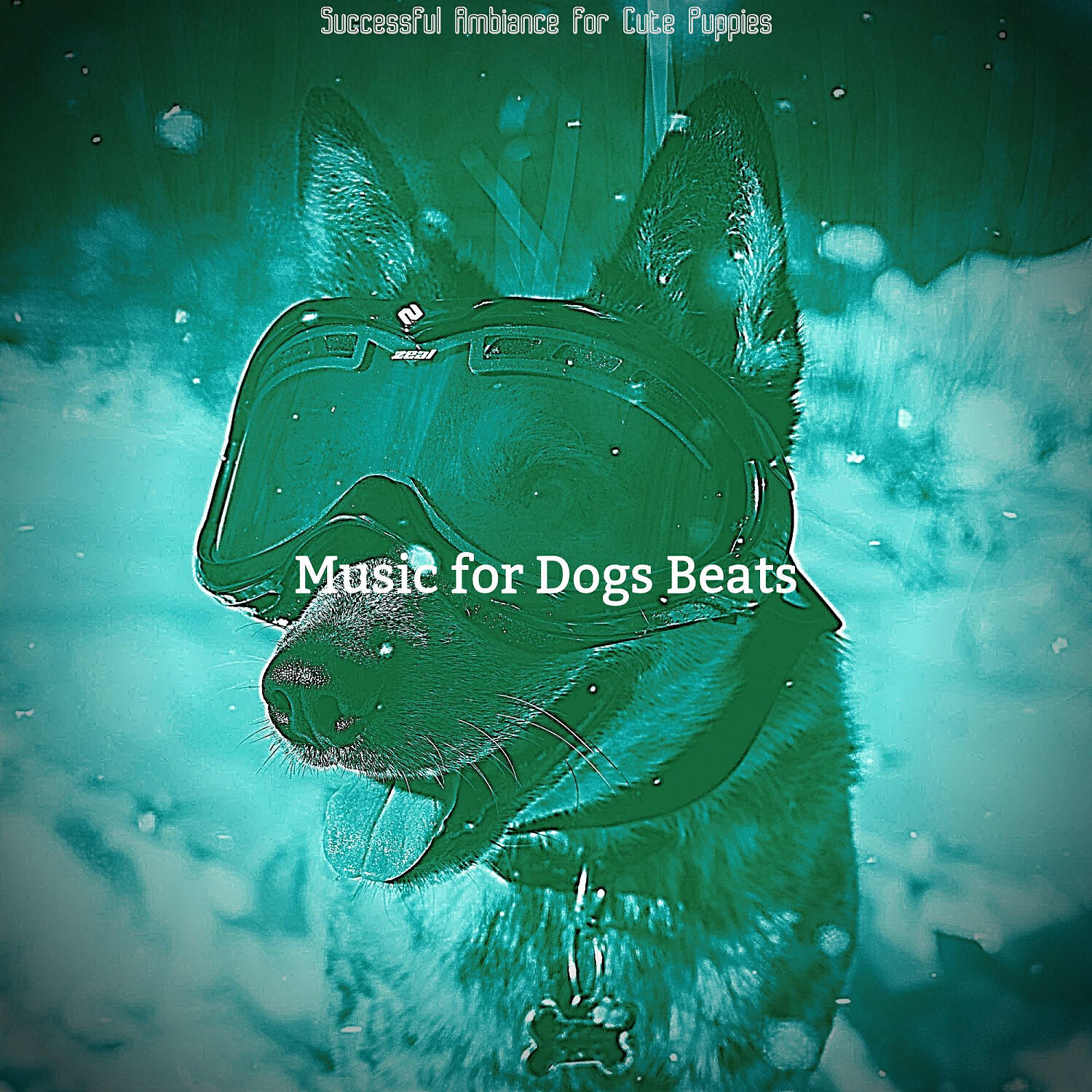 Music for Dogs Beats - Sophisticated Backdrops for Cute Puppies