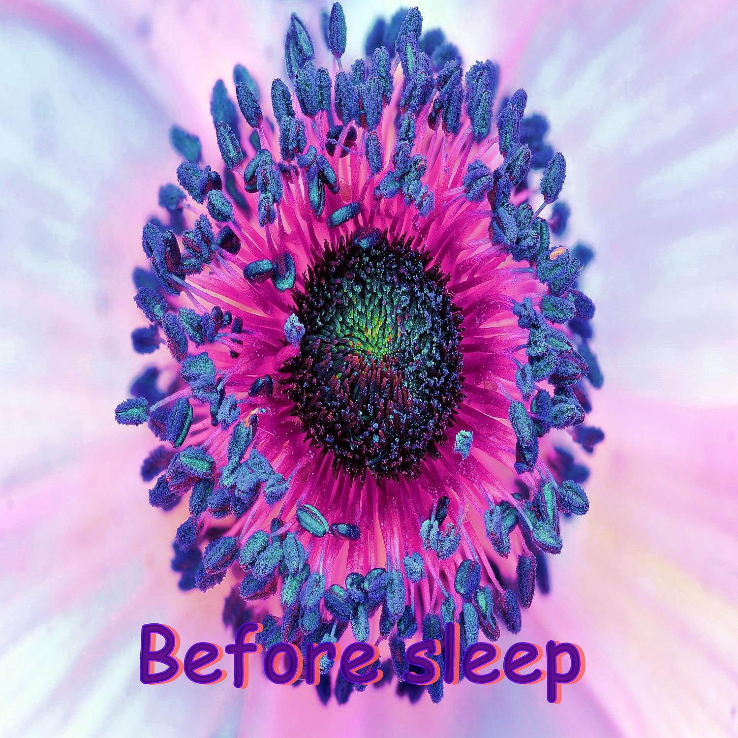 Постер альбома Before sleep