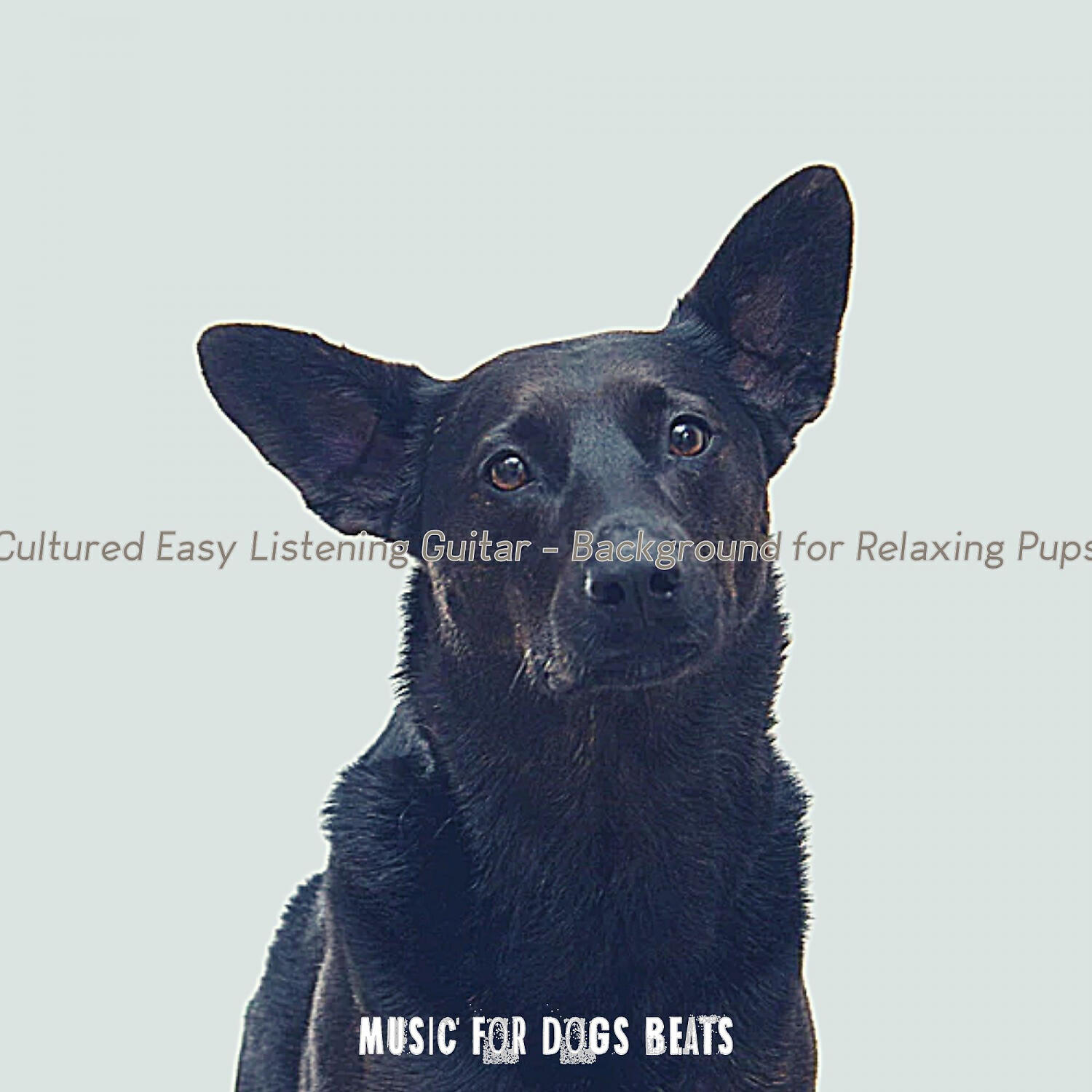 Music for Dogs Beats - Easy Listening Acoustic Guitar Soundtrack for Calm Puppies