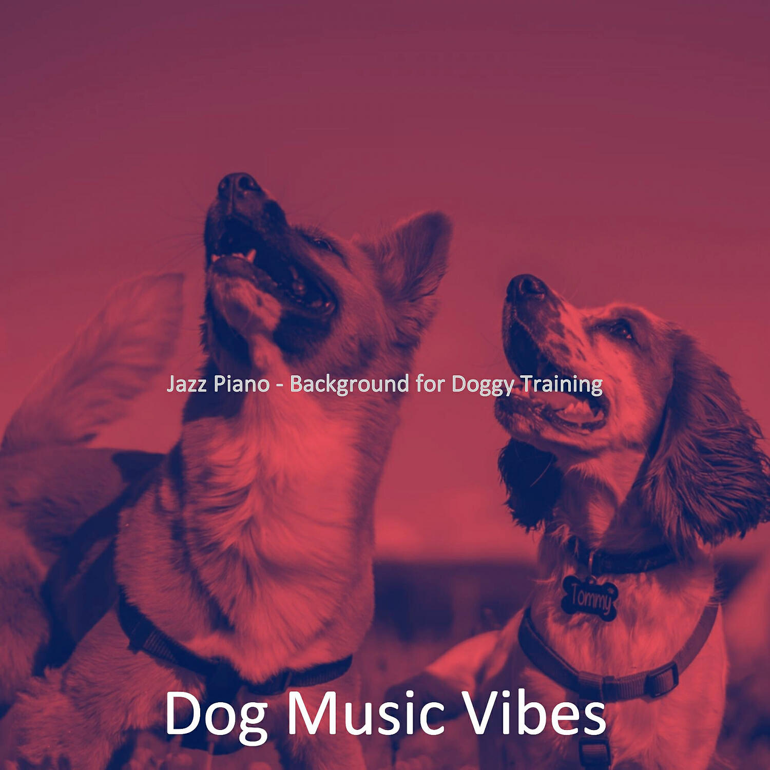 Dog Music Vibes - Cultivated Music for Separation Anxiety