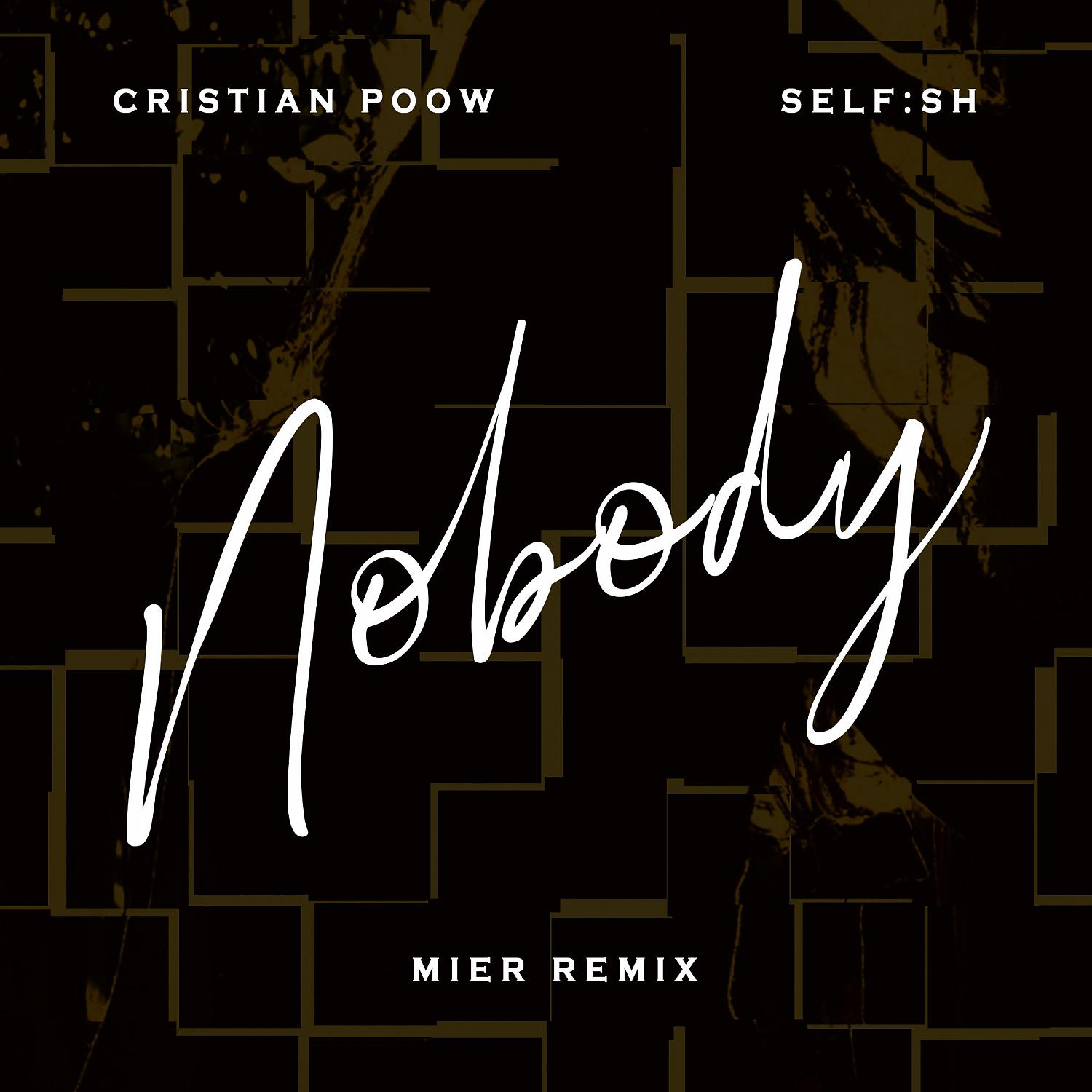 Постер альбома Nobody (Mier Remix)