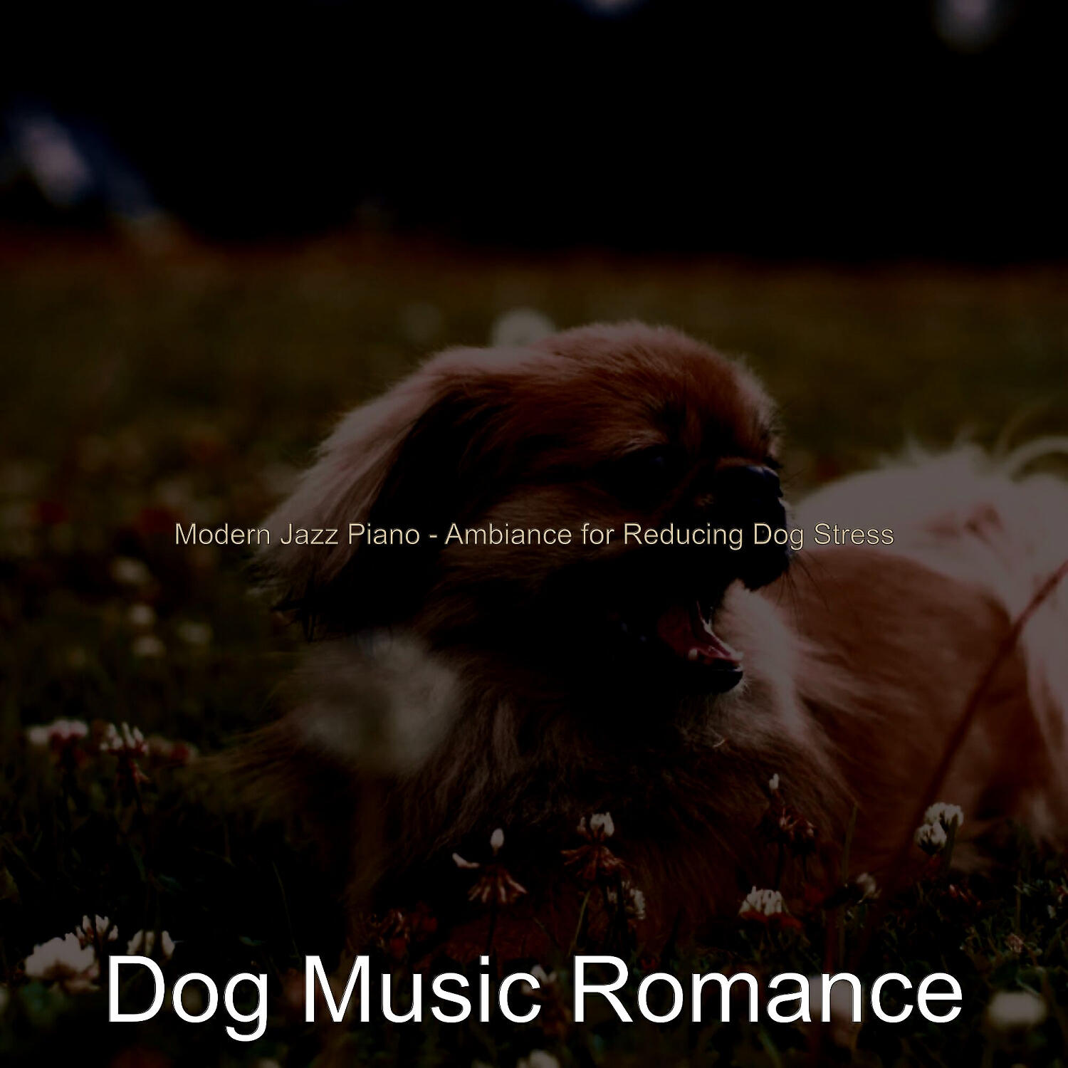 Dog Music Romance - Superlative Solo Piano Jazz - Vibe for Separation Anxiety