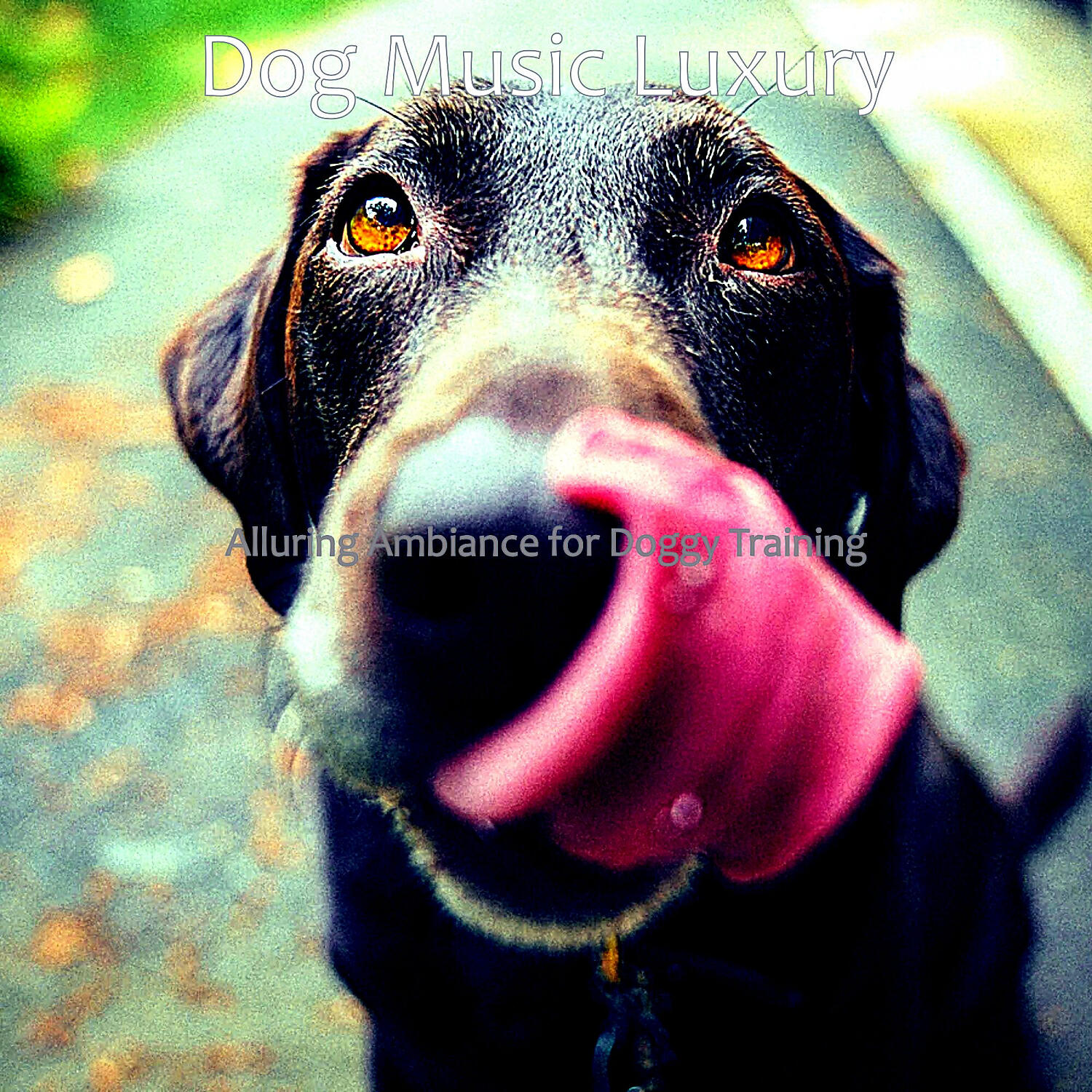 Dog Music Luxury - Bright Ambience for Cute Dogs