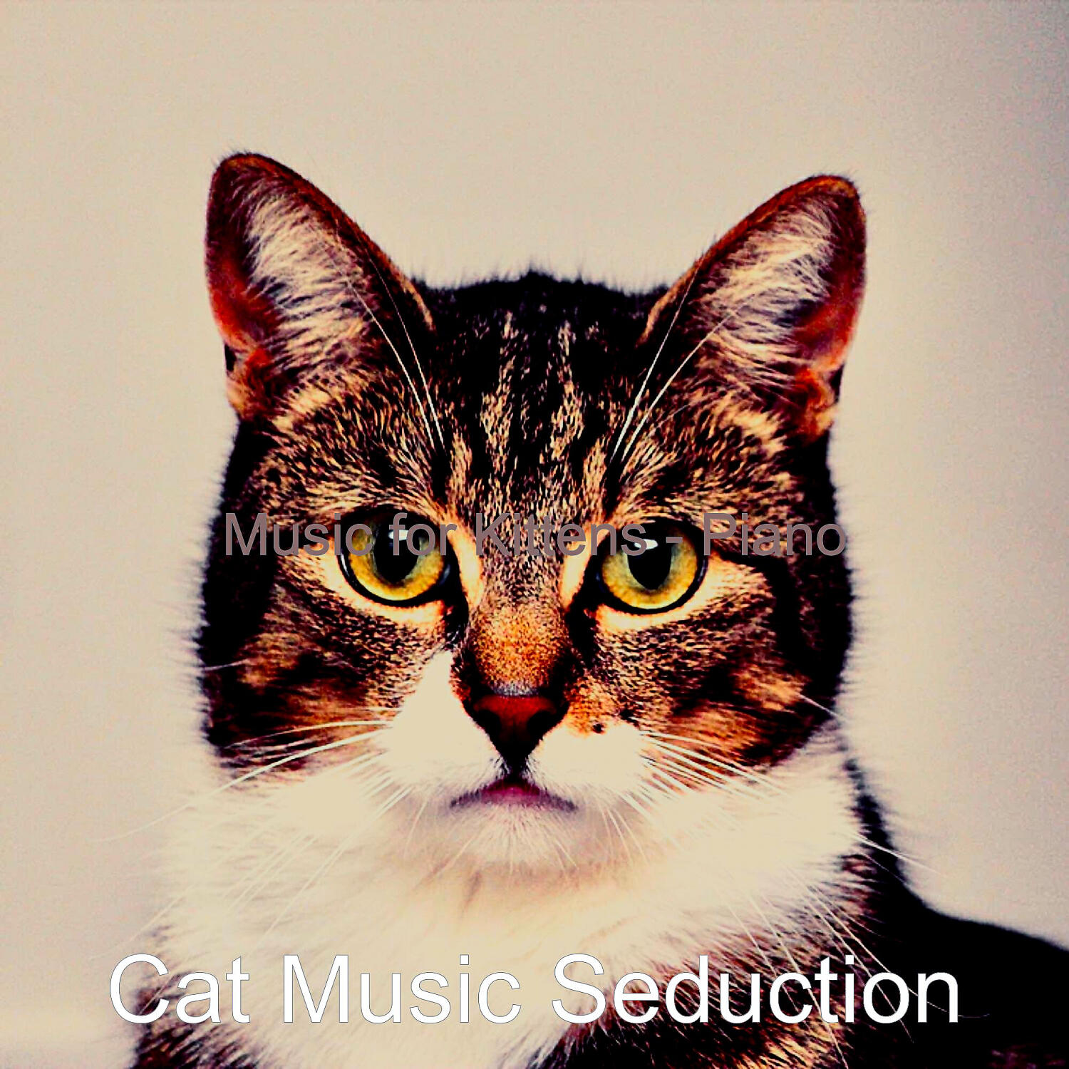 Cat Music Seduction - Piano Jazz Soundtrack for Kittens