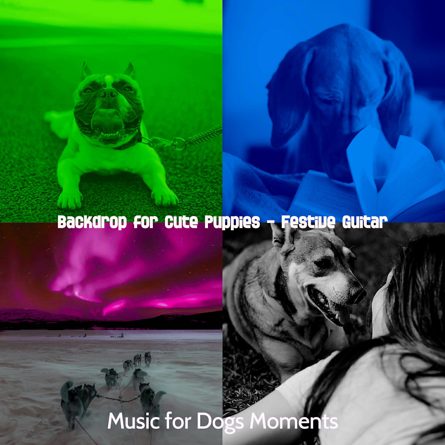 Music for Dogs Moments - High-class Ambiance for Cute Puppies
