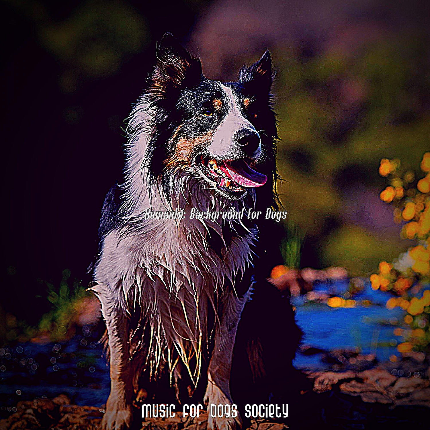 Music for Dogs Society - Astonishing Jazz Guitar Trio - Vibe for Lonely Dogs