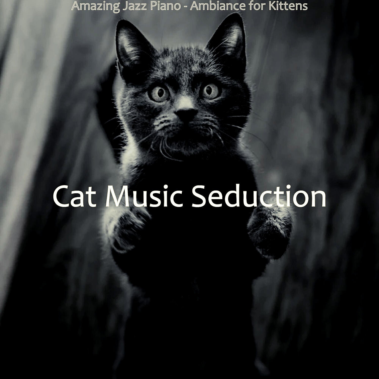 Cat Music Seduction - Spirited Music for Relaxing Your Cat