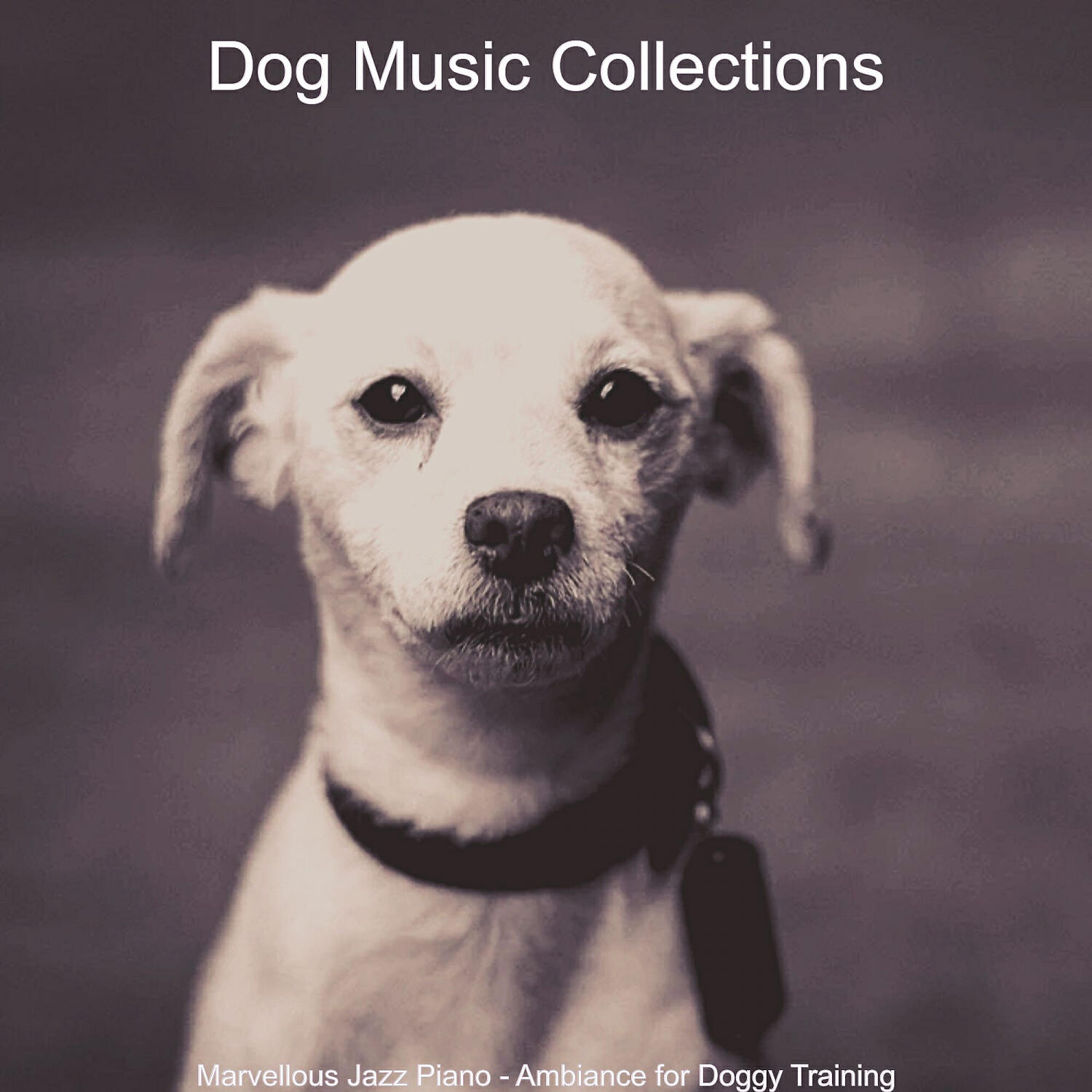 Dog Music Collections - Debonair Solo Piano Jazz - Vibe for Doggy Training