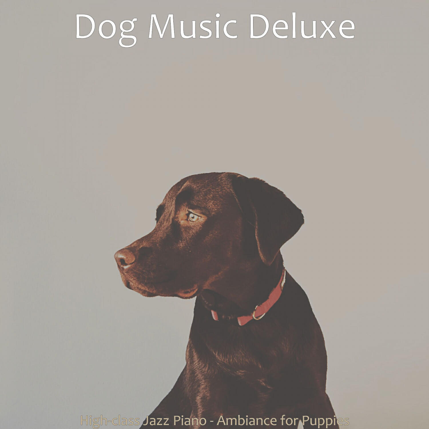 Dog Music Deluxe - Easy Ambience for Resting Dogs