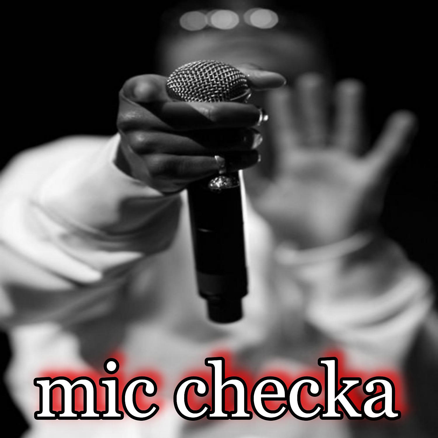 Постер альбома Mic Checka