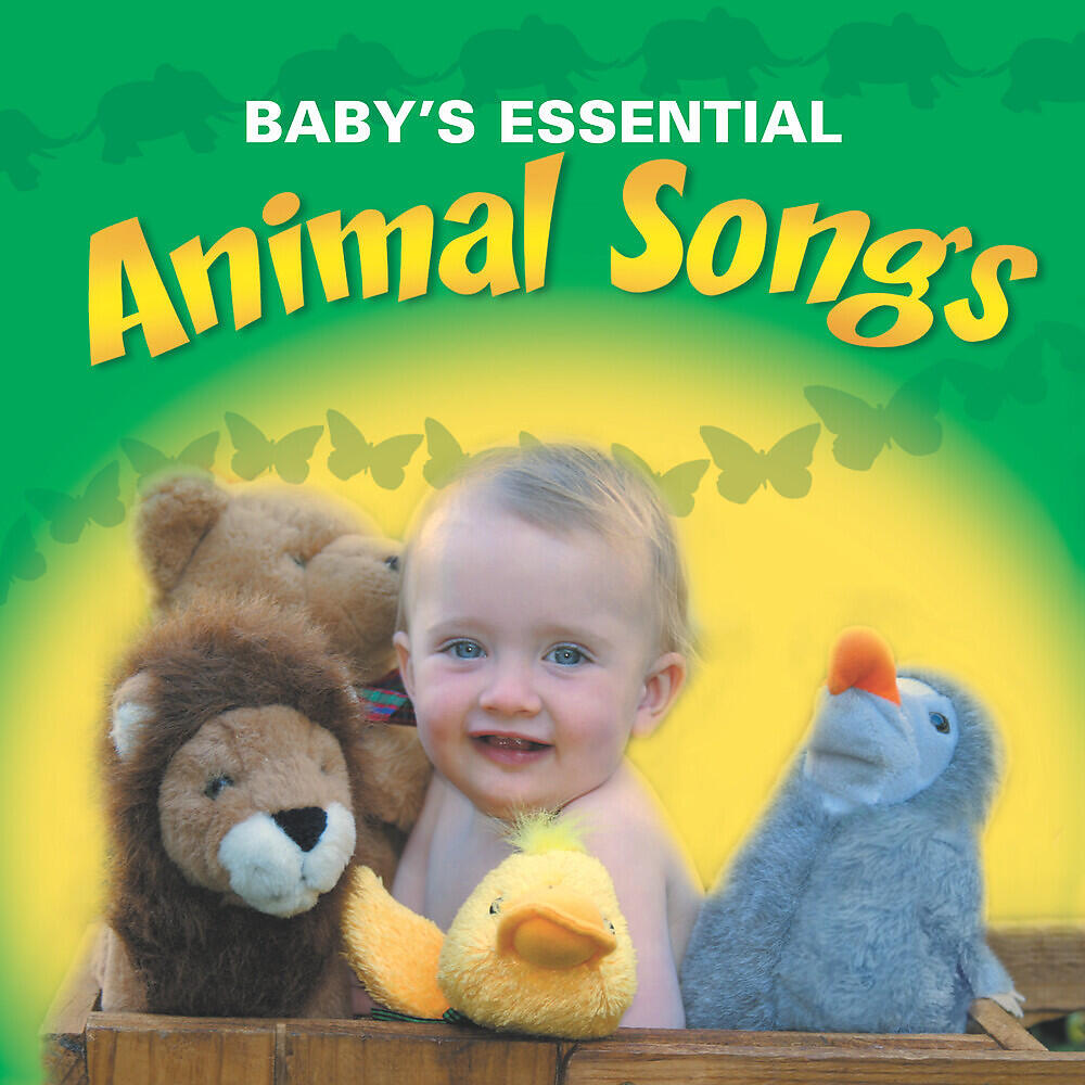 Essential Band - Incy Wincy Spider