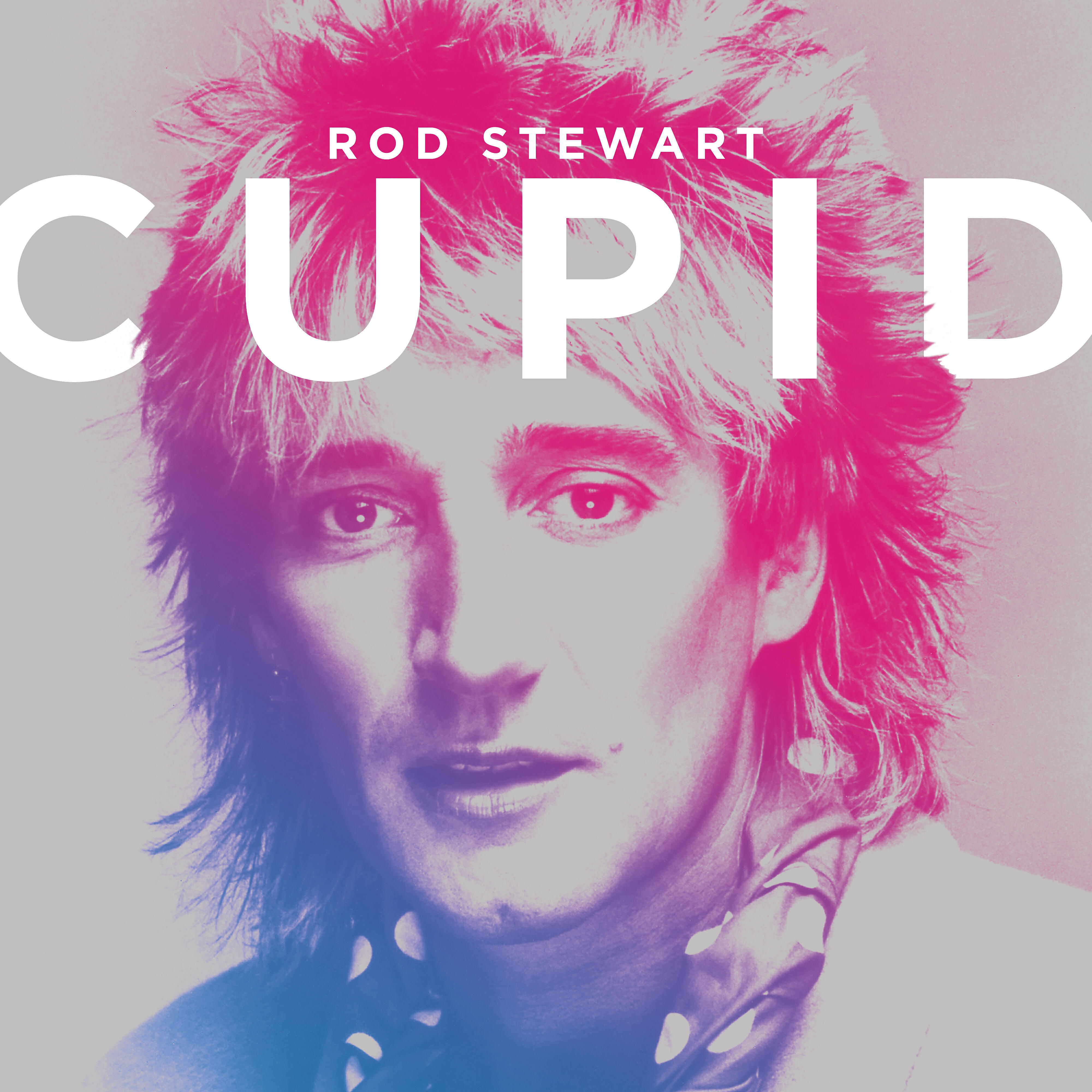 Rod Stewart - The First Cut Is the Deepest