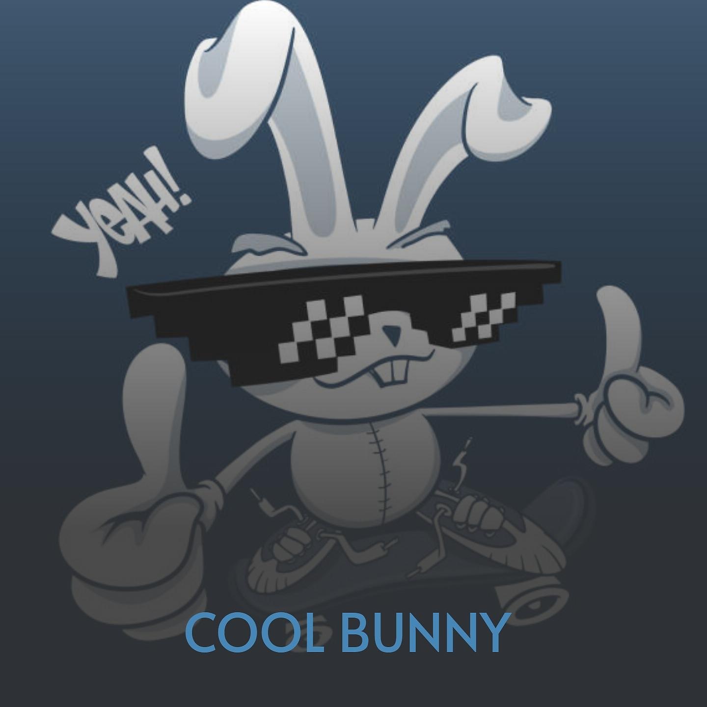 Постер альбома Cool Bunny