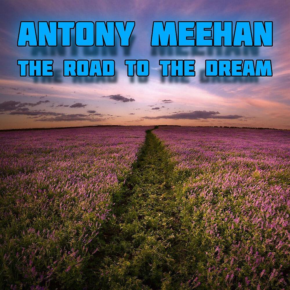 Antony Meehan - Feel You
