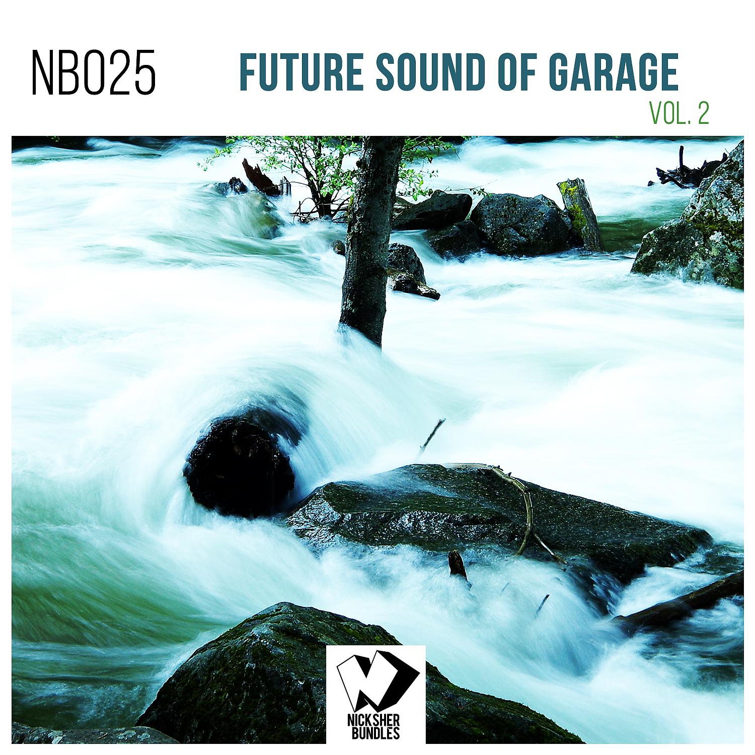 Постер альбома Future Sound of Garage, Vol. 2