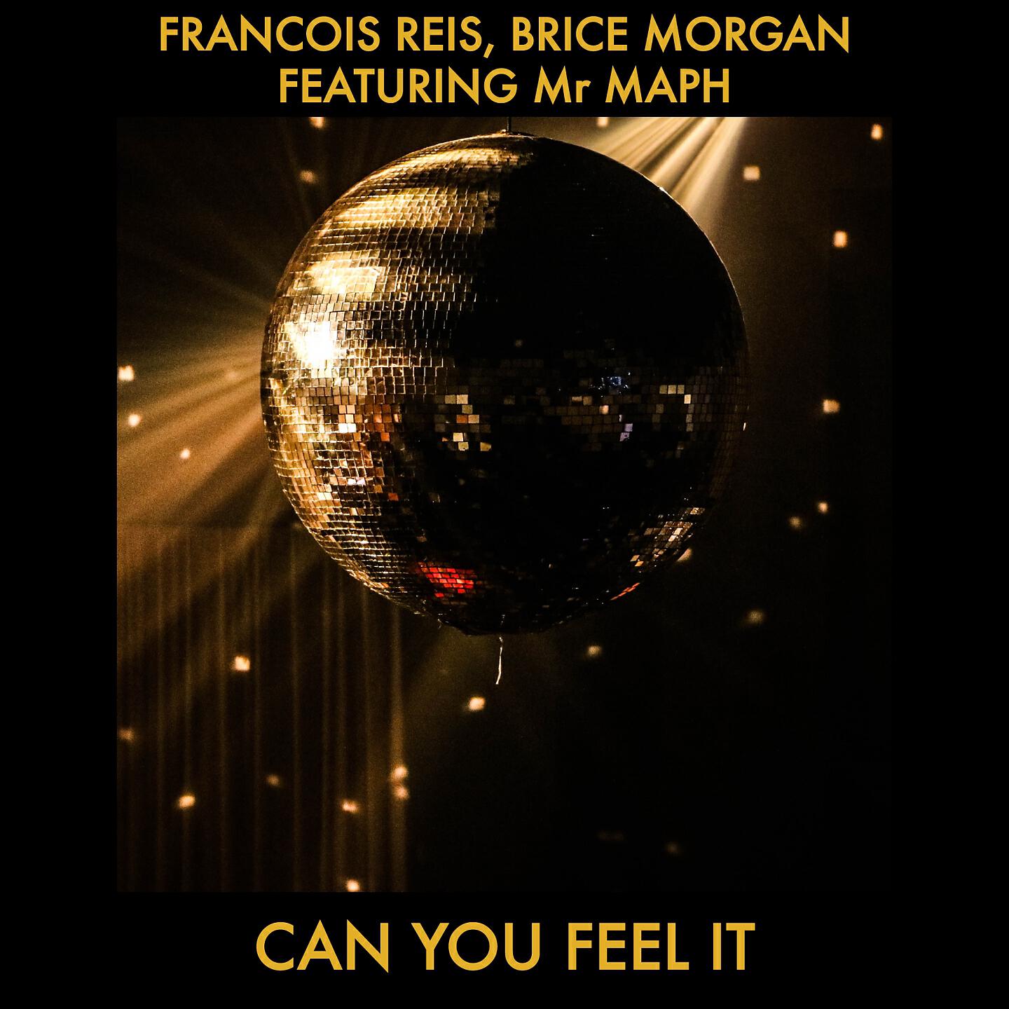 Francois Reis - Can You Feel It (Paolo Barbato Remix)