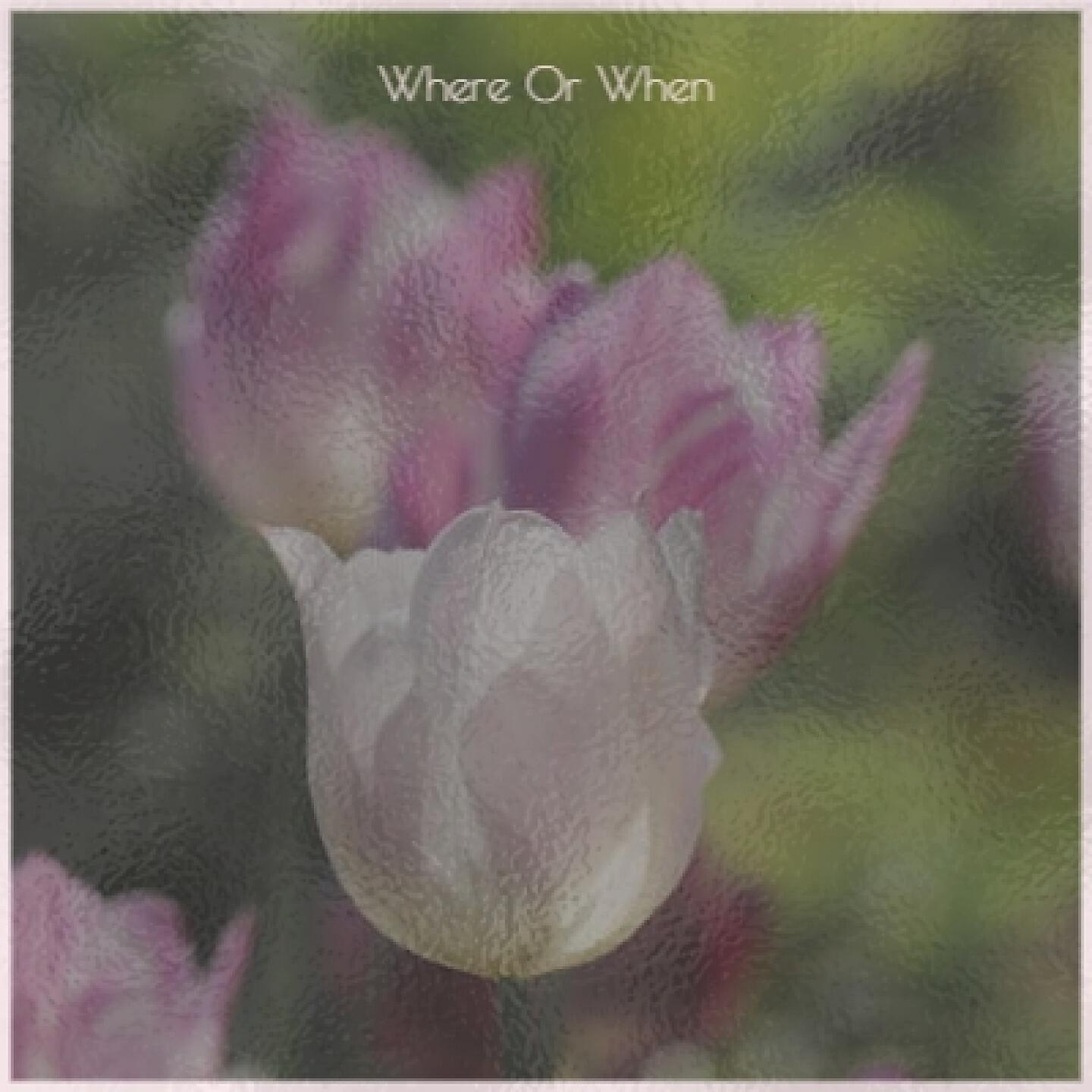 Mohammed El-bakkar - Cha Cha Pharonic (Cha Cha of the Pharoah)