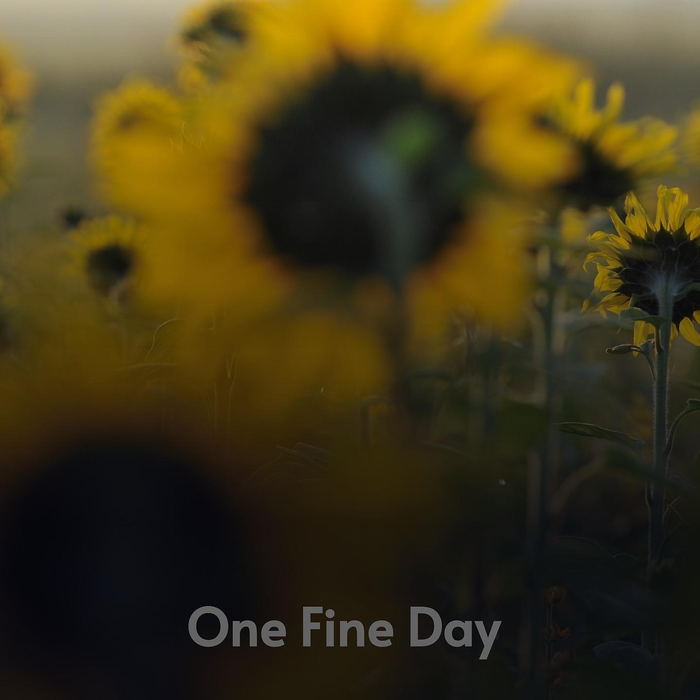 Постер альбома One Fine Day