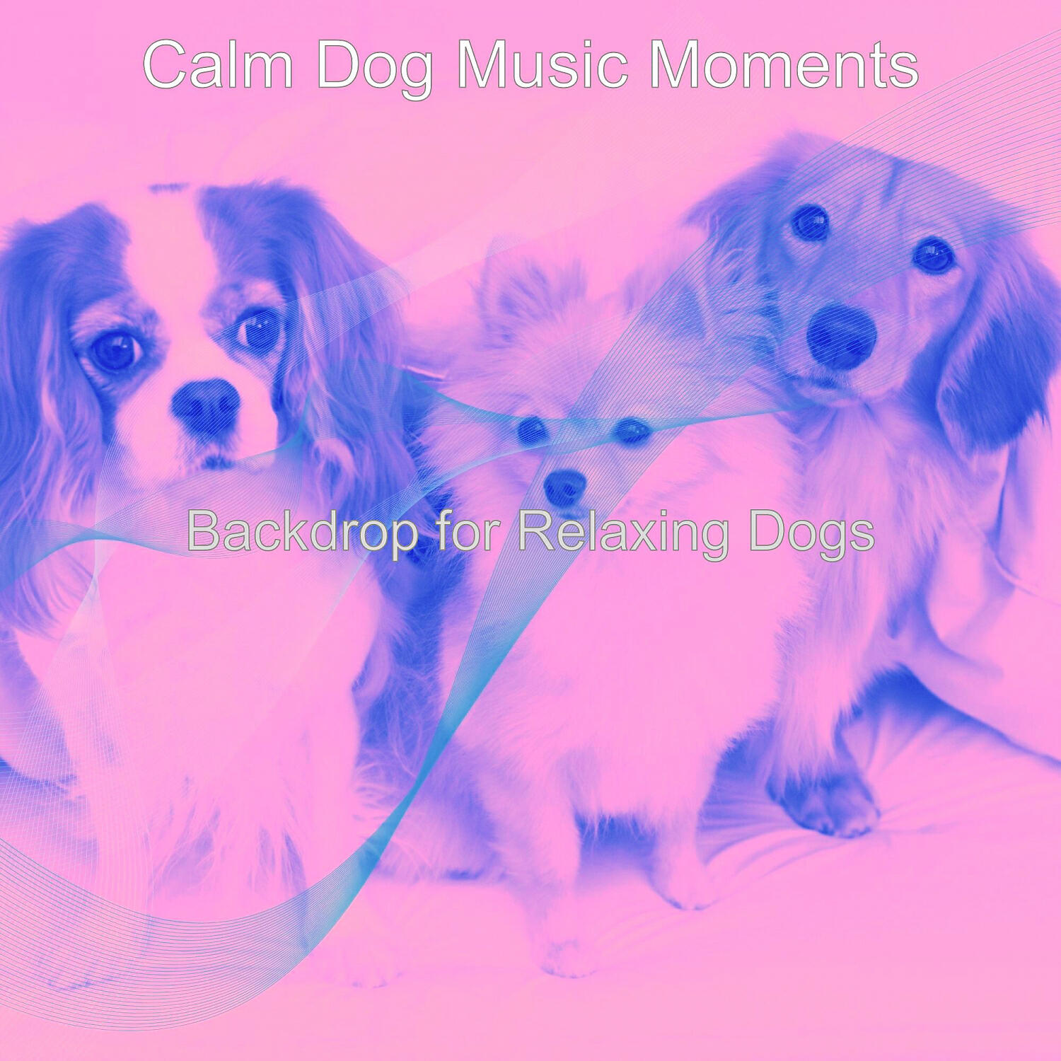 Calm Dog Music Moments - Fabulous Music for Relaxing Dogs